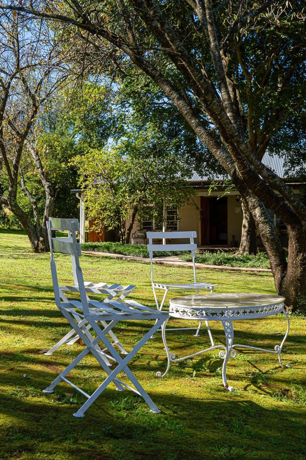 Garden view in Gowan Valley Guest Farm