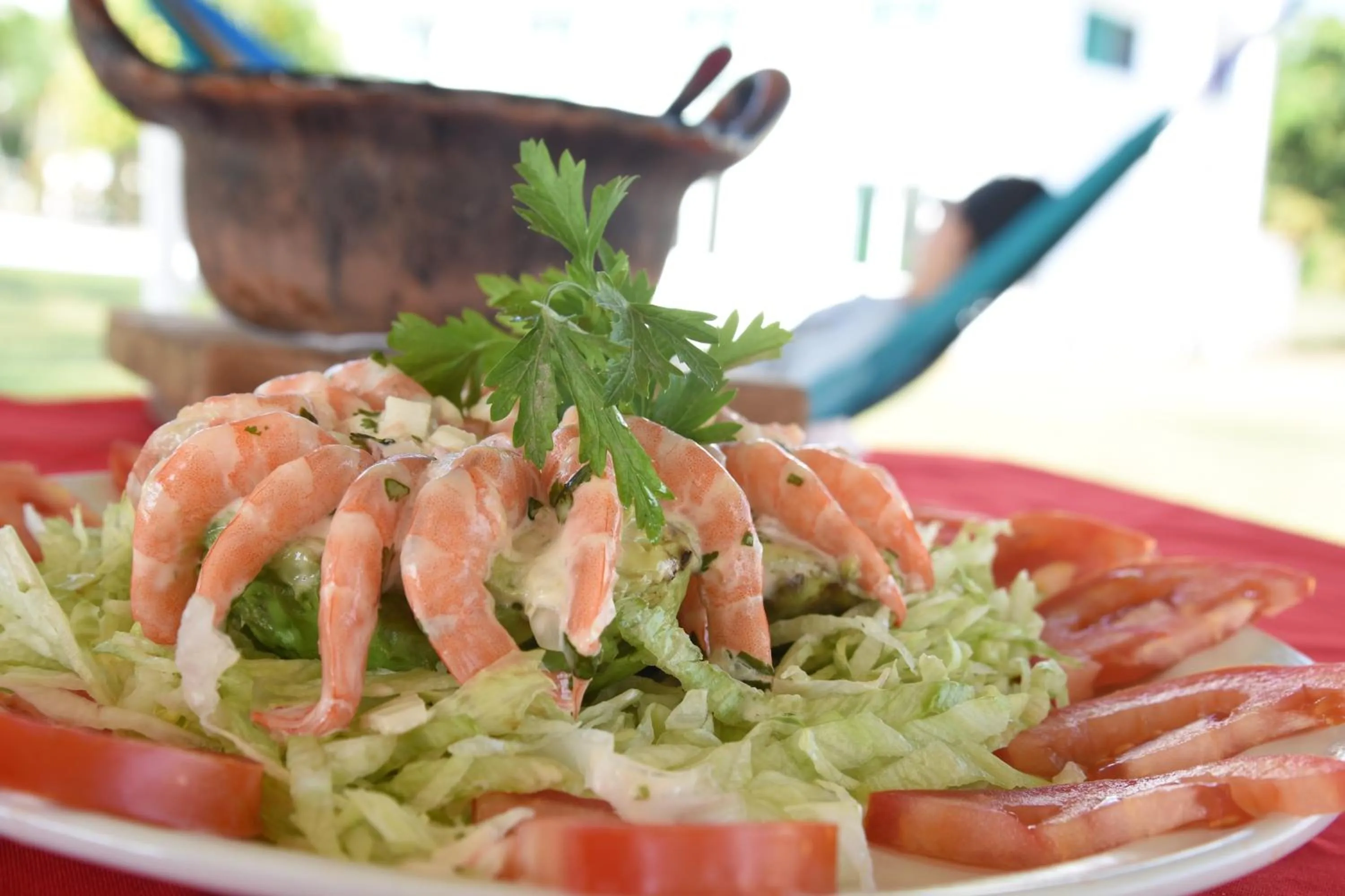 Hotel Boca de Ovejas