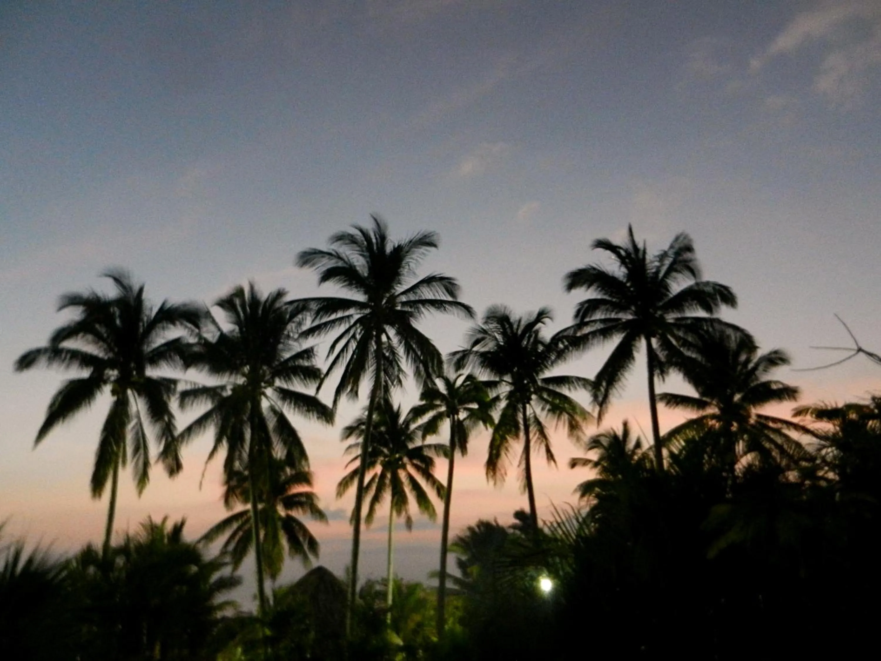 Property building in Hotel Boca de Ovejas