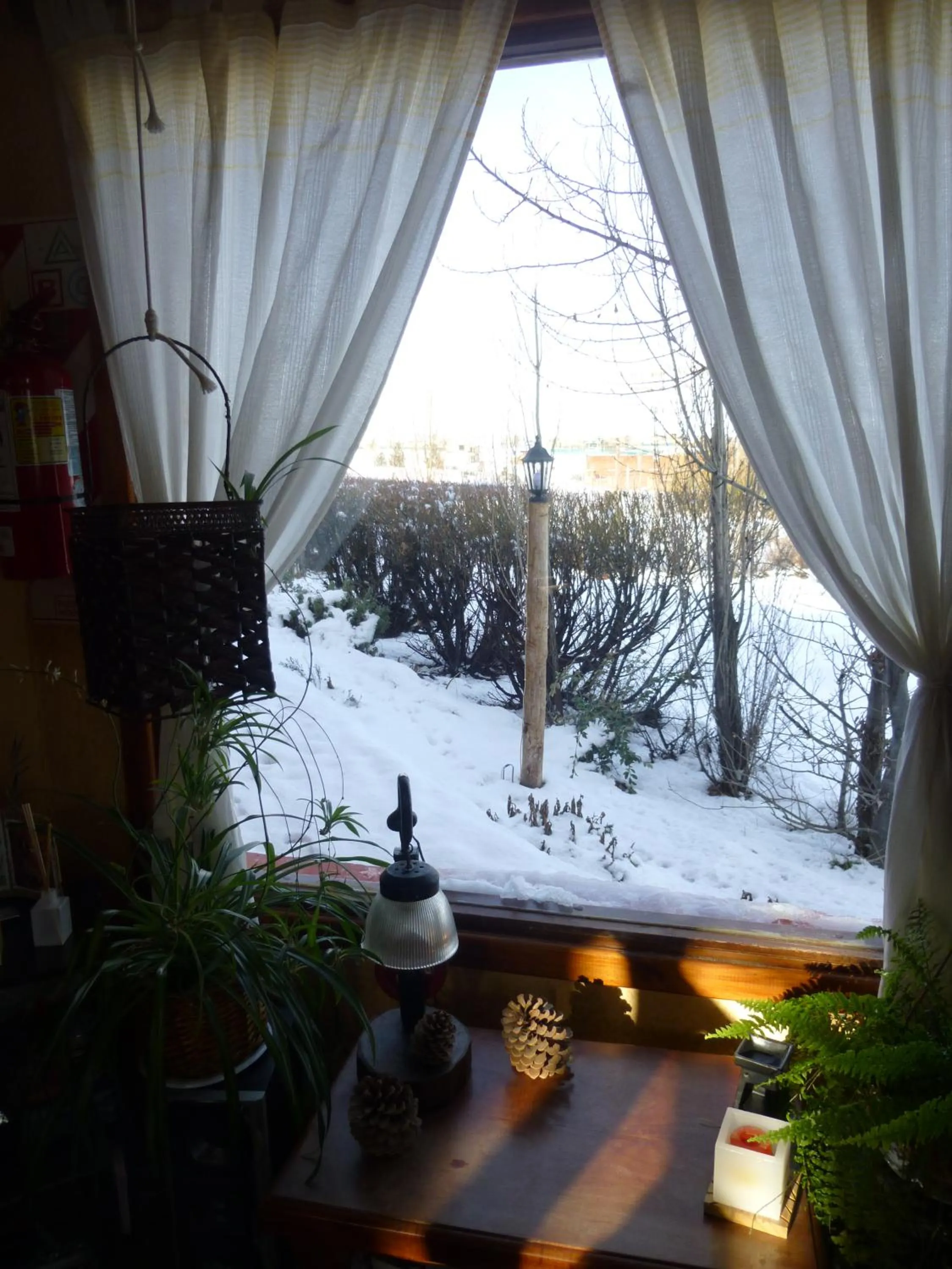 Street view in Hosteria Rukahué