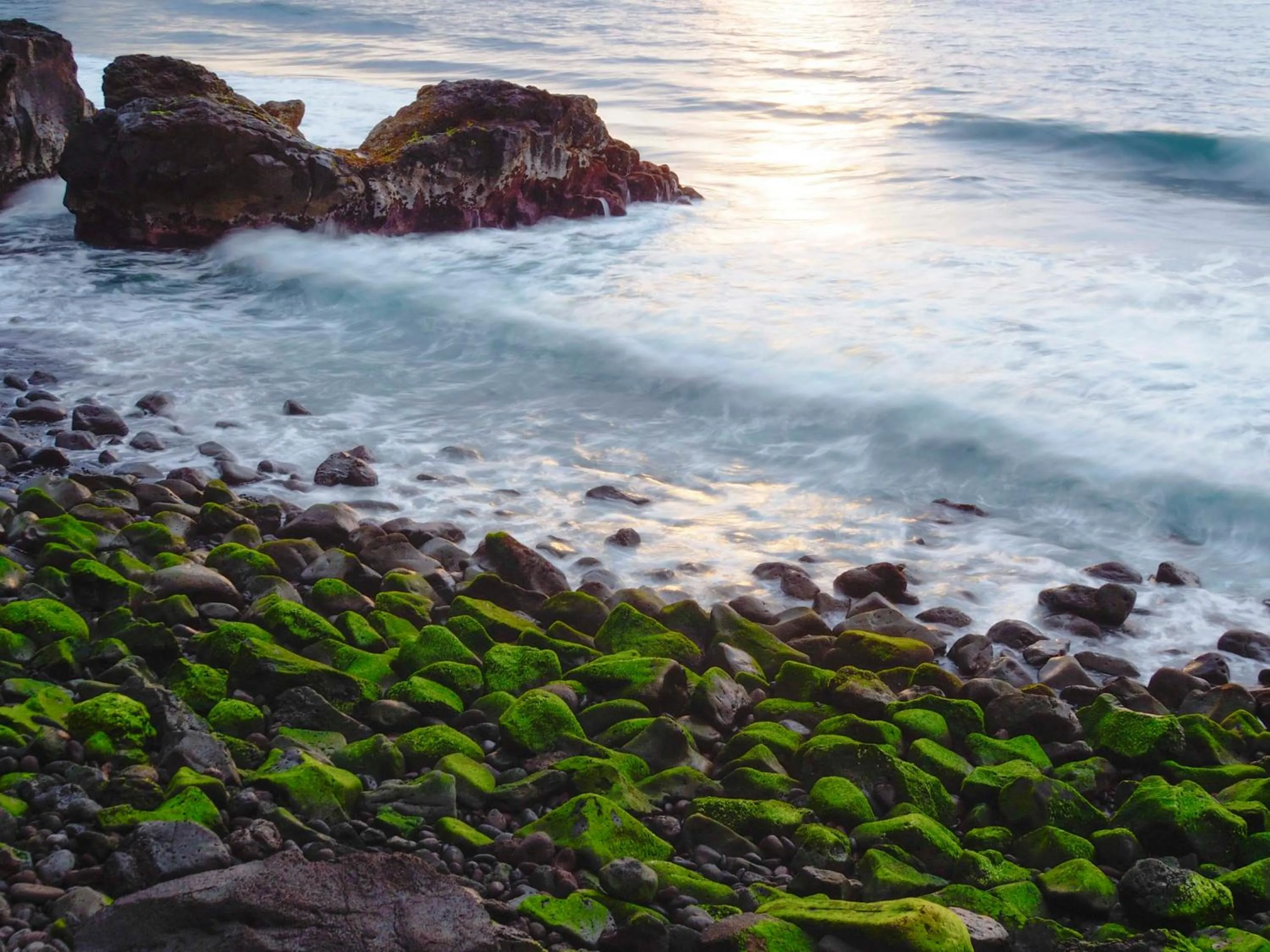 Entertainment in Patio Hostel