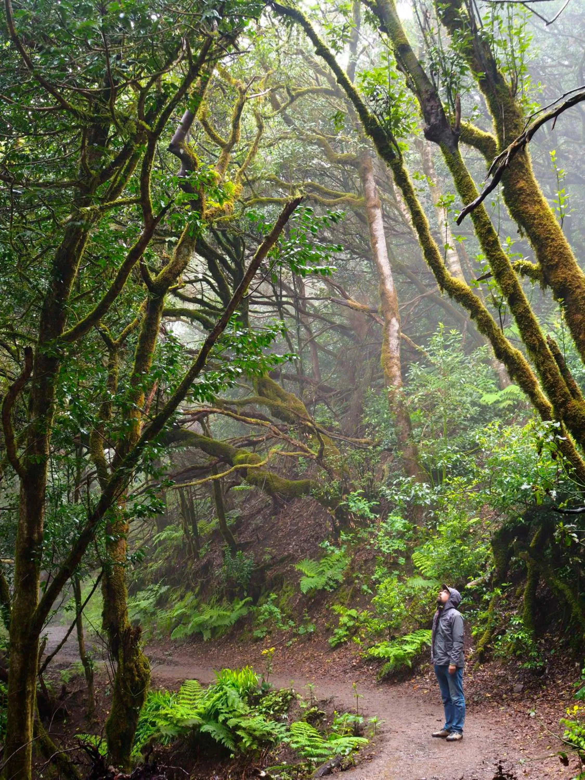 Hiking in Patio Hostel