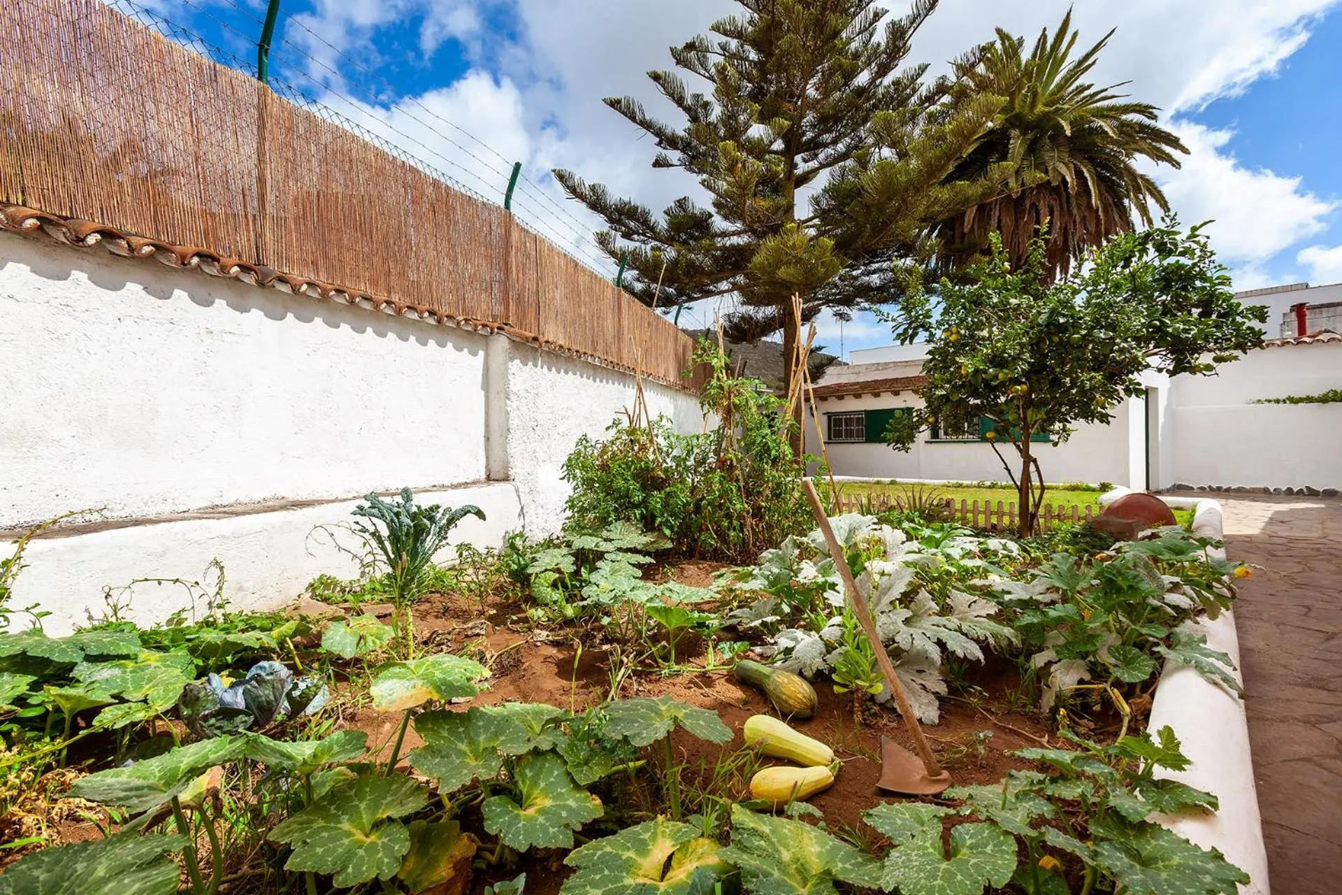 Garden in Patio Hostel
