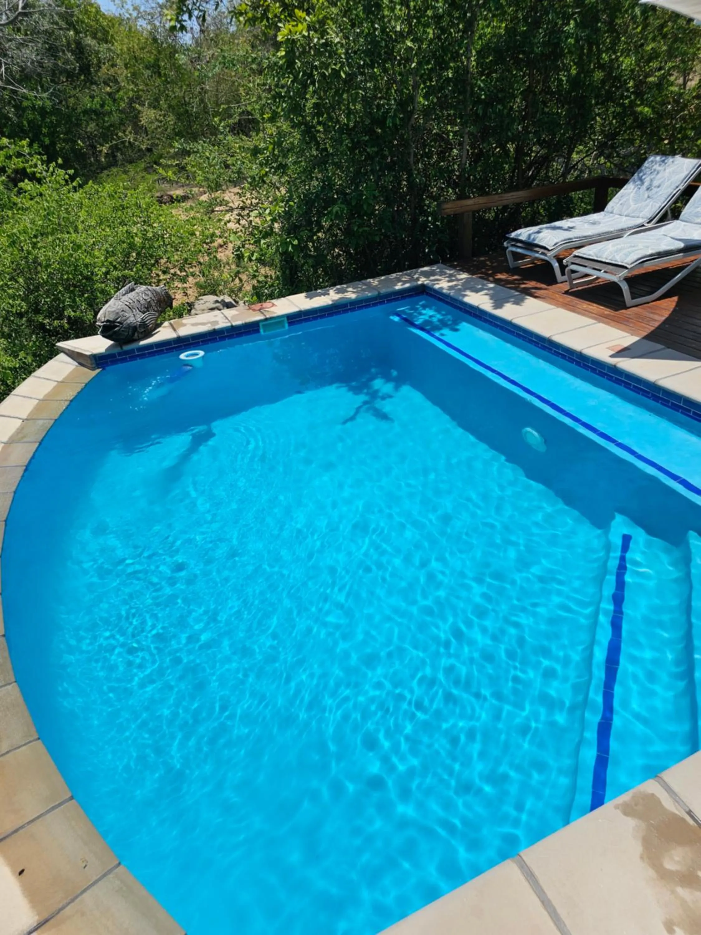 Pool view in Kingfisher Creek Safari Lodge