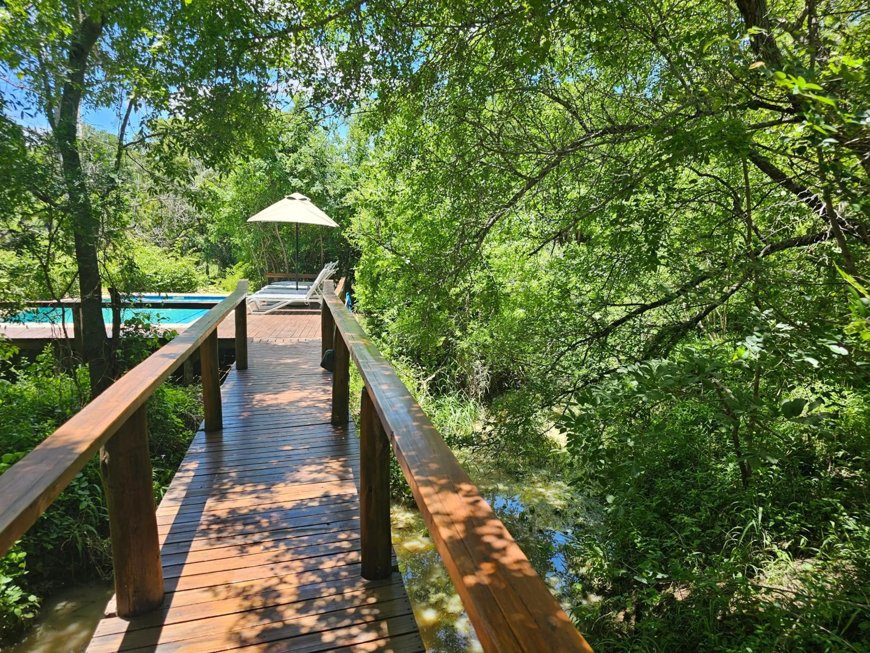 Pool view in Kingfisher Creek Safari Lodge