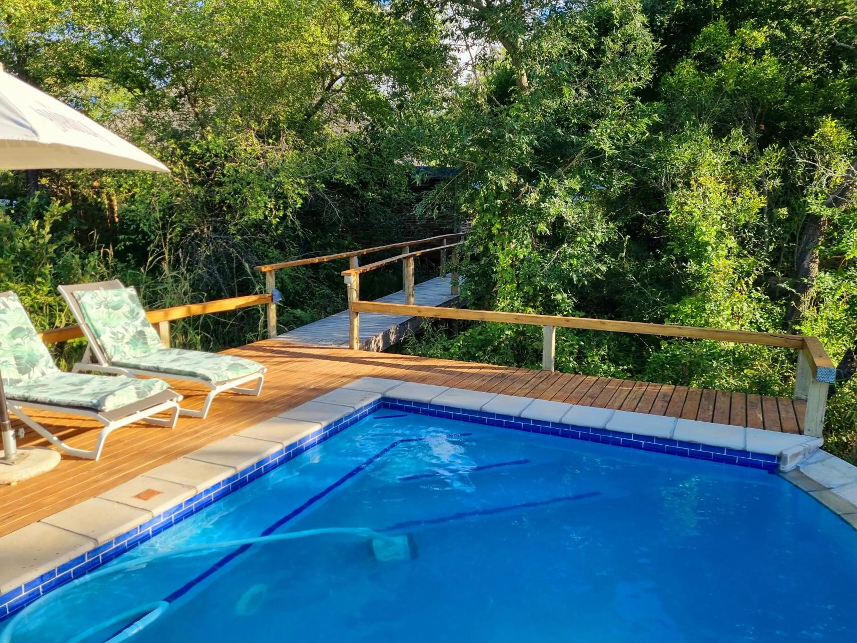 Swimming pool in Kingfisher Creek Safari Lodge