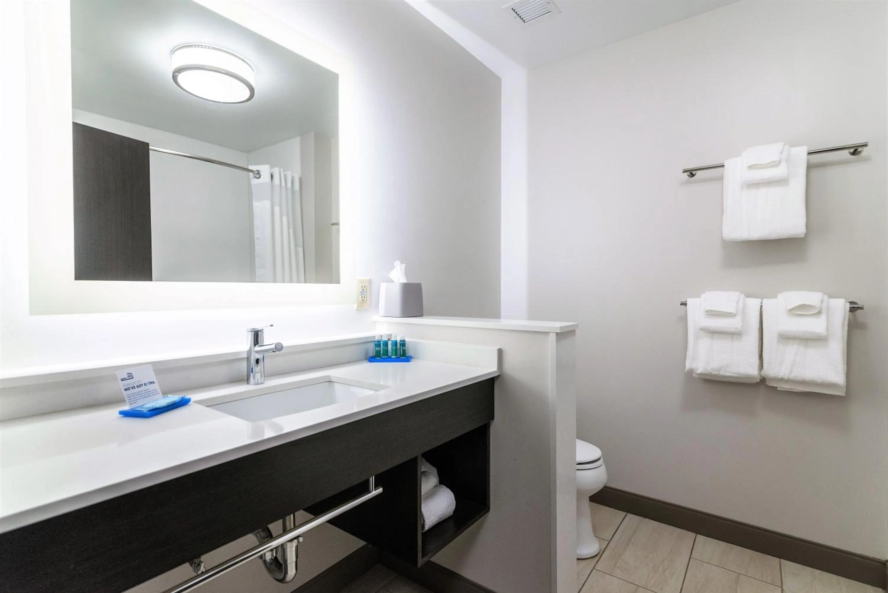 Bathroom in Holiday Inn Express & Suites Allen Park by IHG