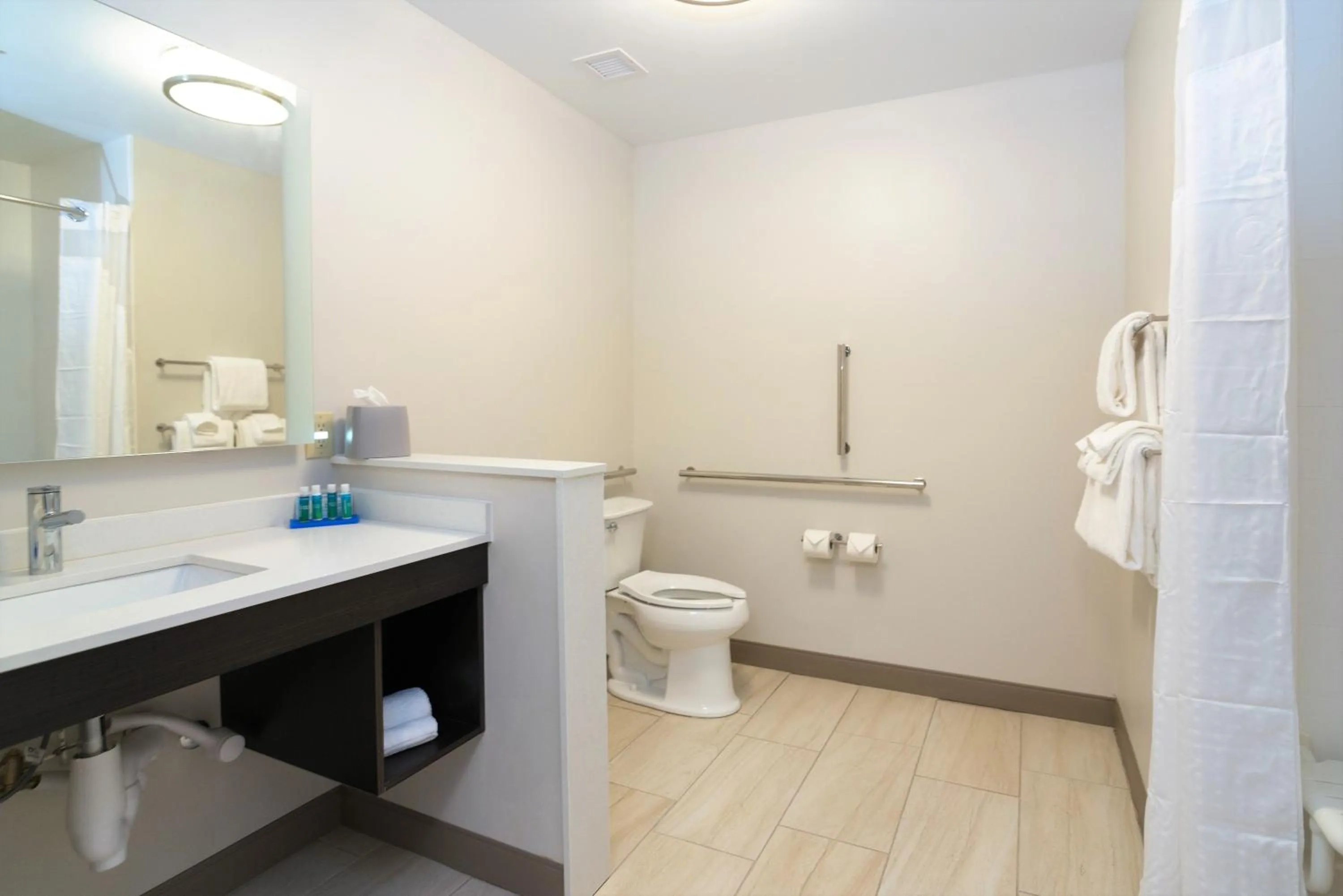 Bathroom in Holiday Inn Express & Suites Allen Park by IHG