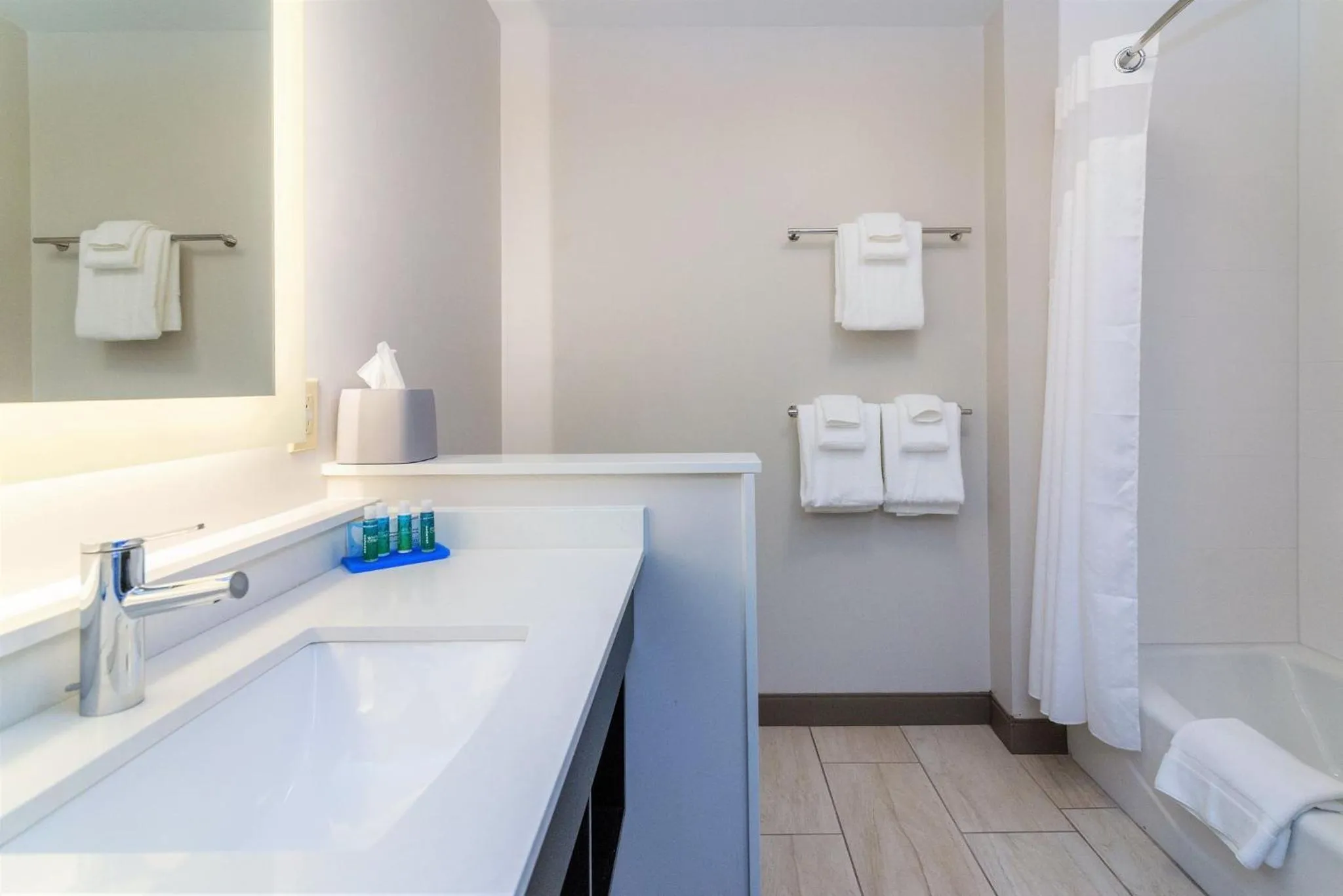 Bathroom in Holiday Inn Express & Suites Allen Park by IHG