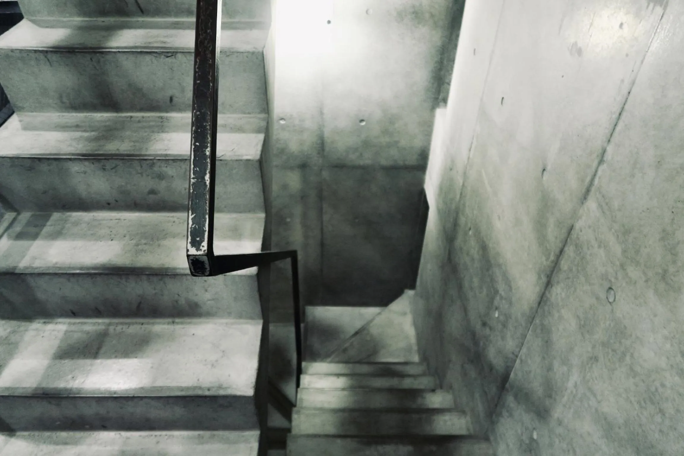 Area and facilities in Kangaroo Hotel