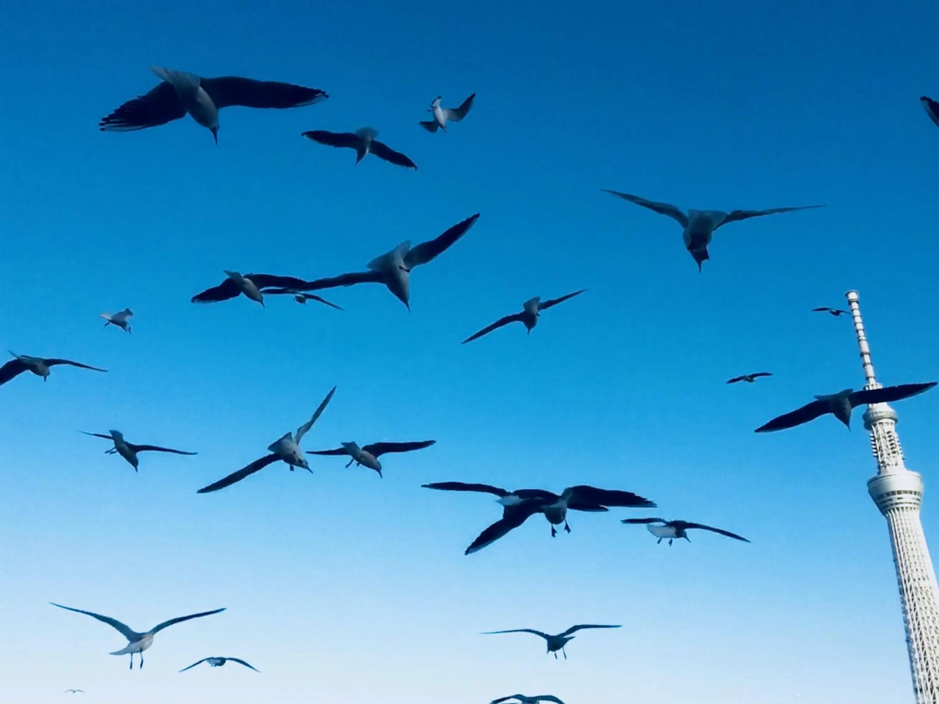 Nearby landmark in Kangaroo Hotel