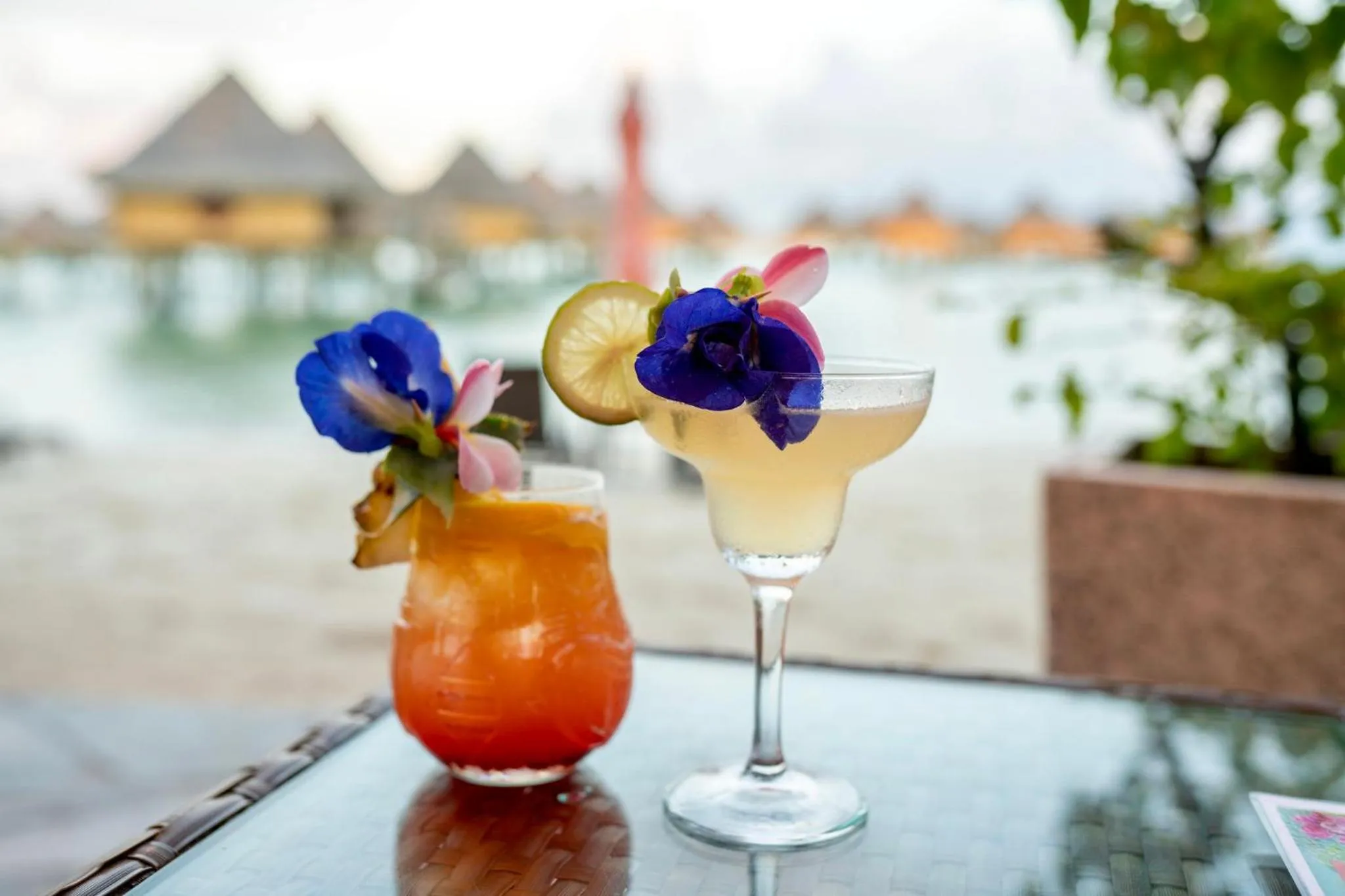 Lounge or bar in InterContinental Bora Bora Le Moana Resort by IHG