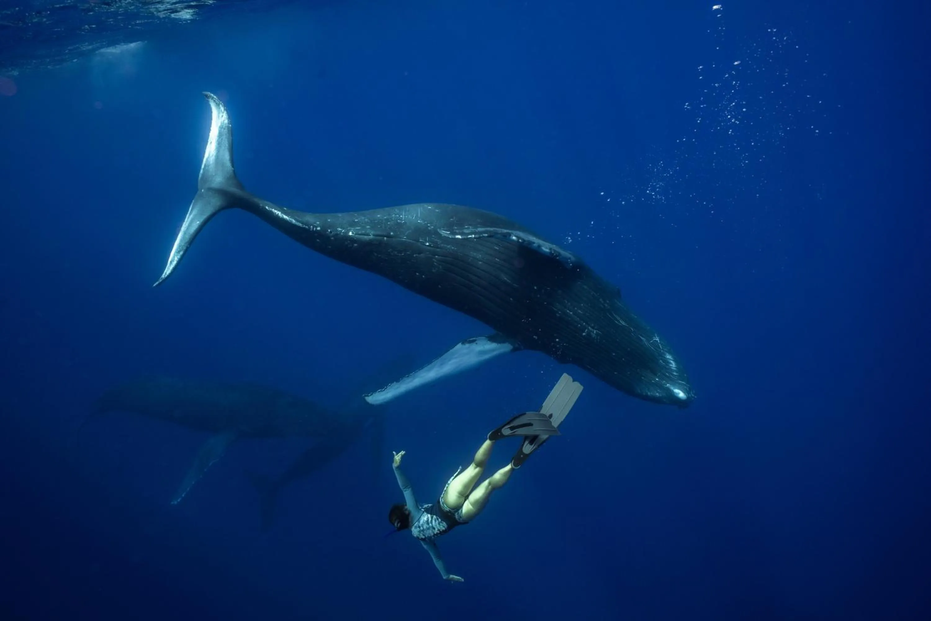 Activities in InterContinental Bora Bora Le Moana Resort by IHG