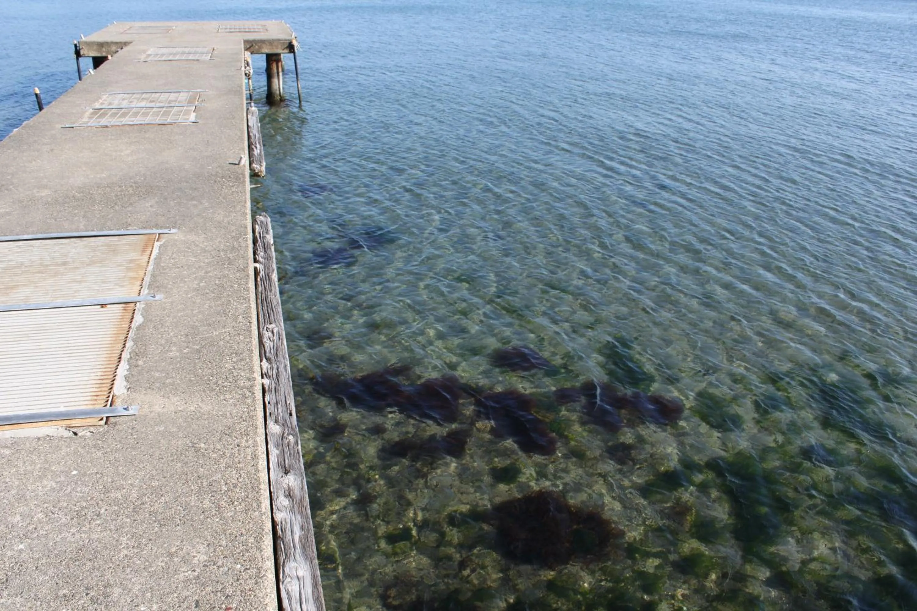 Other in Hotel Green Plaza Hamanako