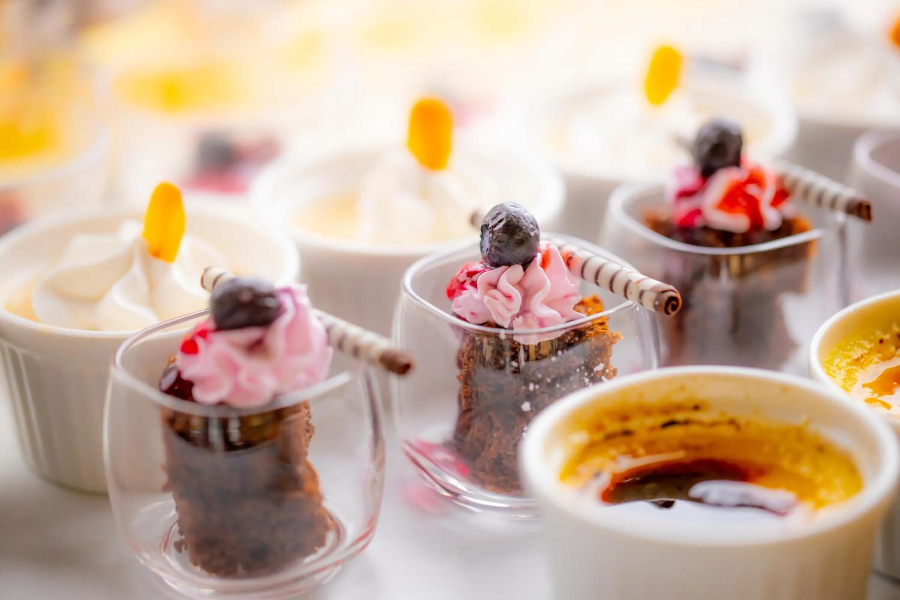 Dinner in Hotel Green Plaza Hamanako