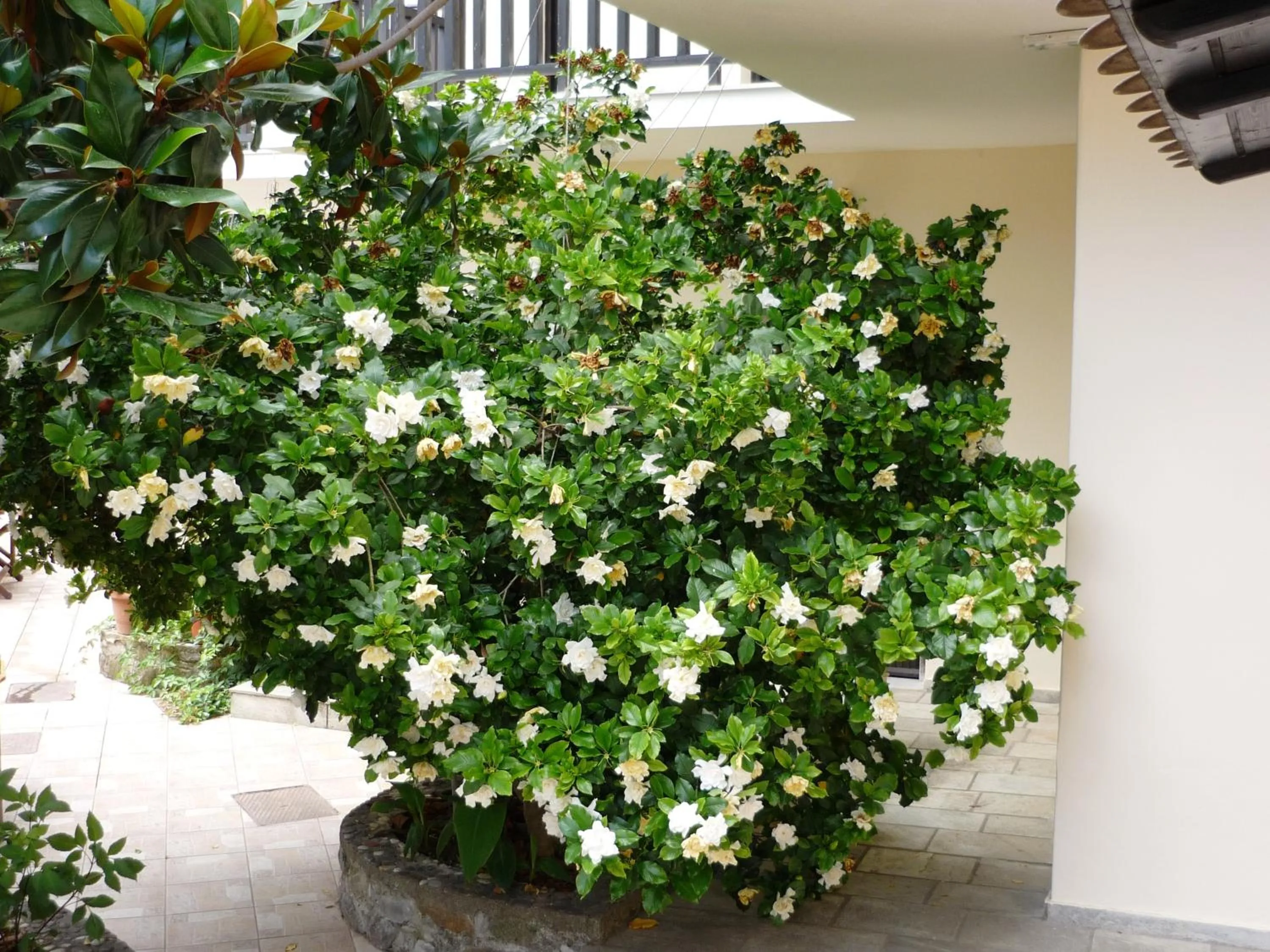 Spring in Hotel Votsala