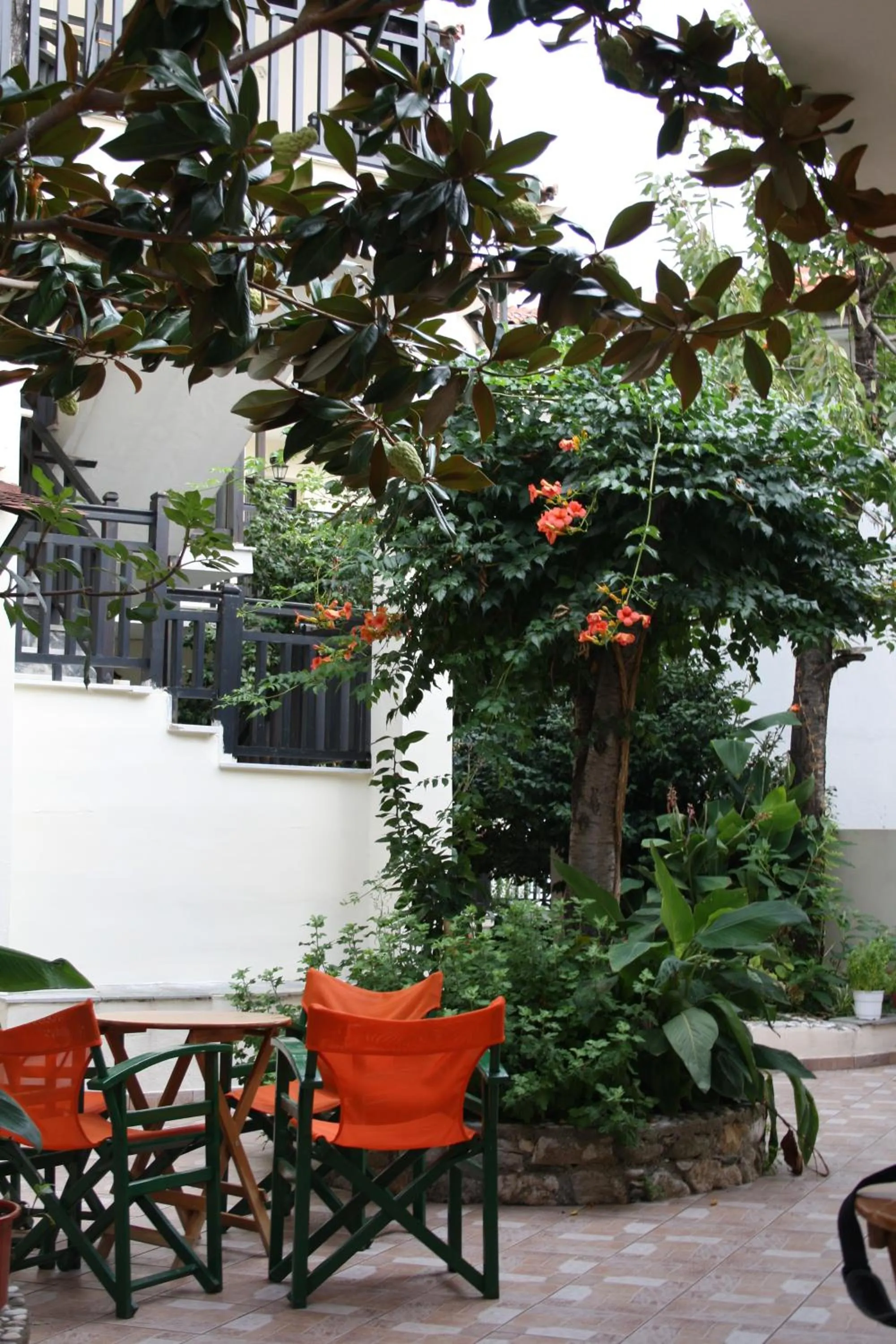 Patio in Hotel Votsala