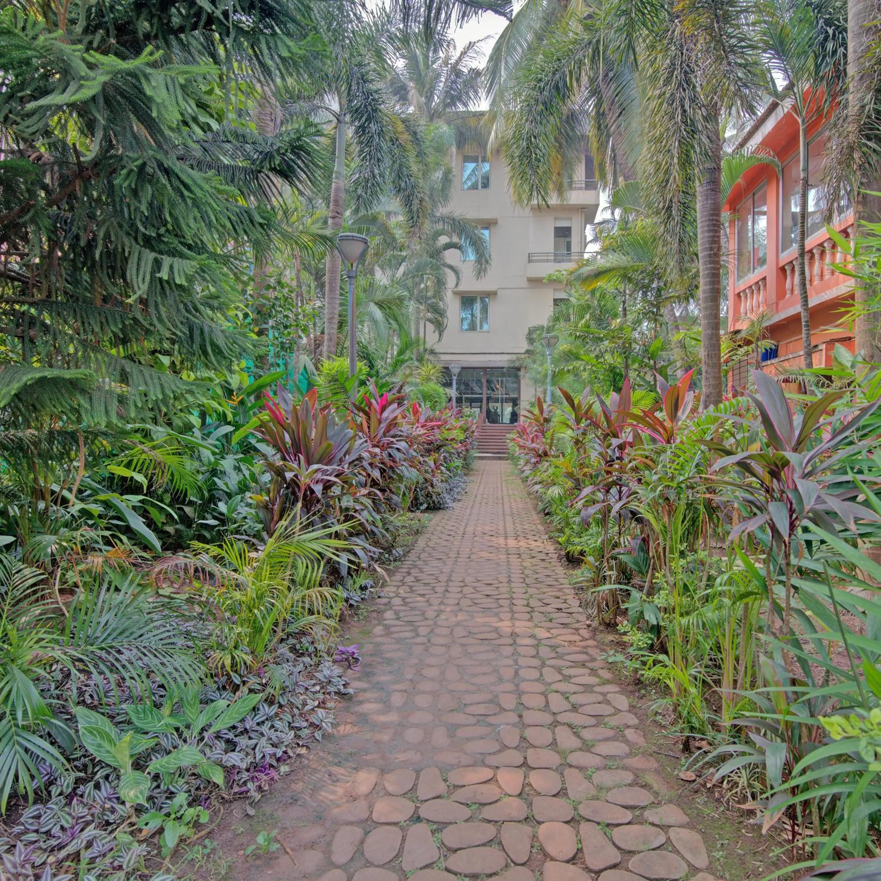 Garden in Godwin Candolim,Goa