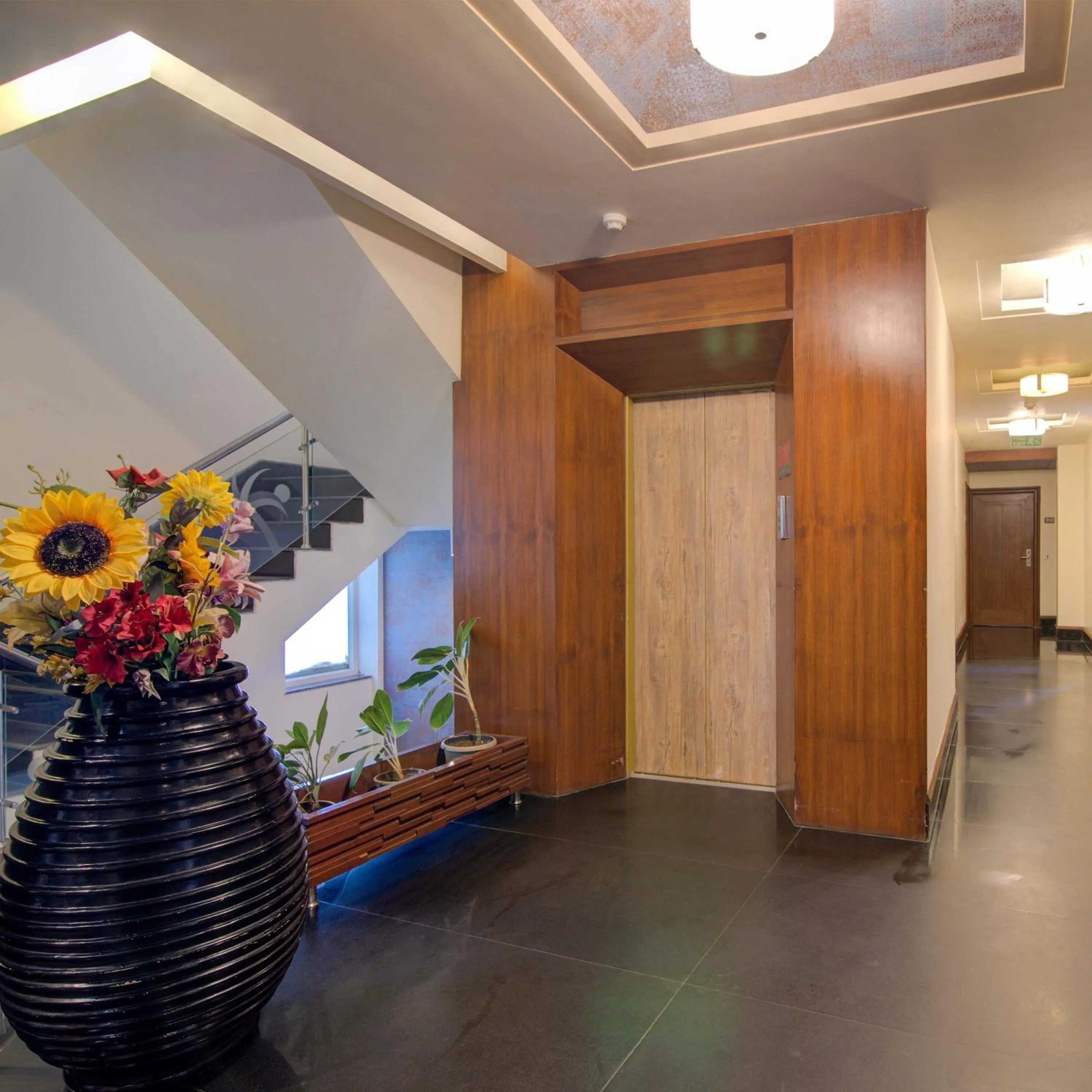 elevator in Godwin Candolim,Goa