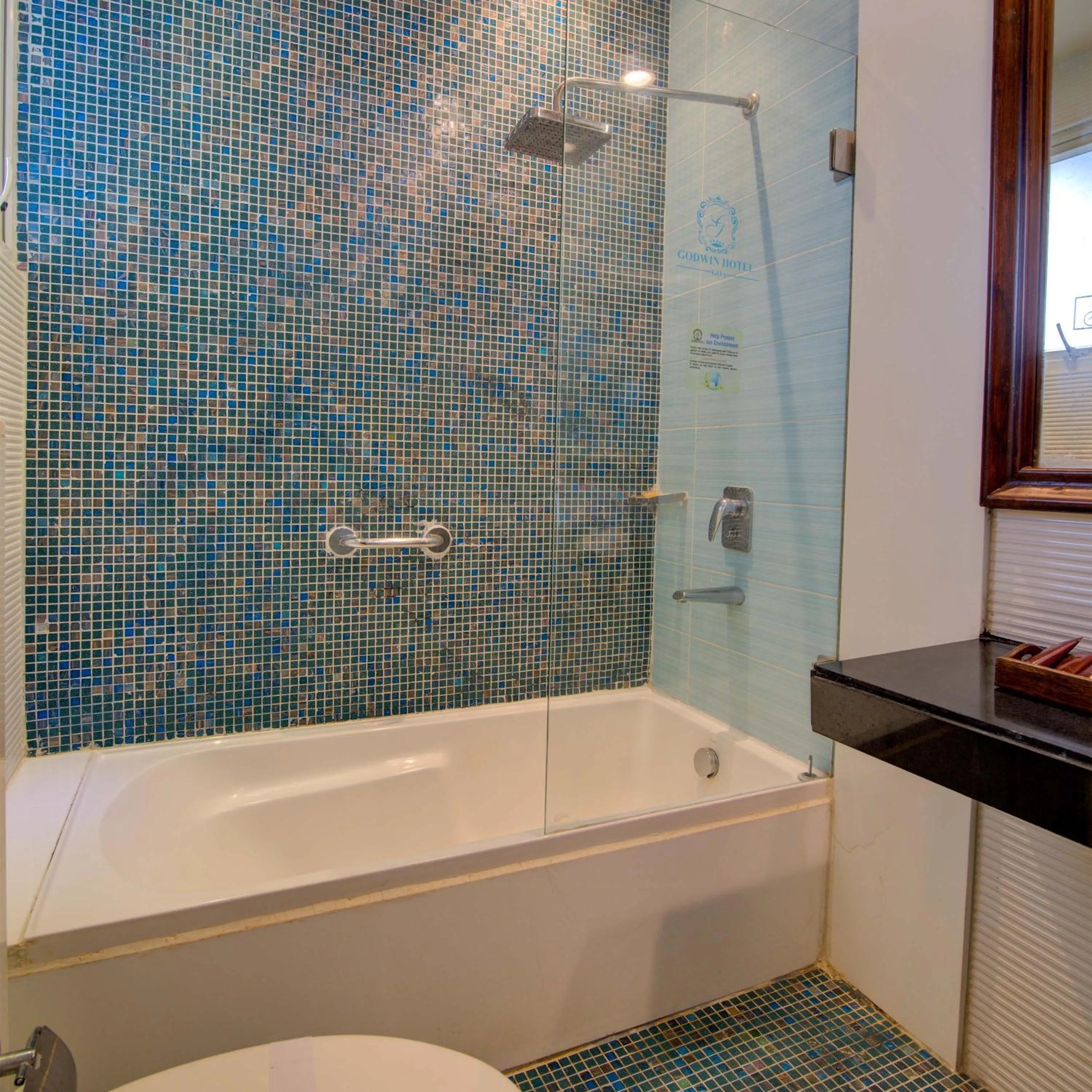 Bathroom in Godwin Candolim,Goa