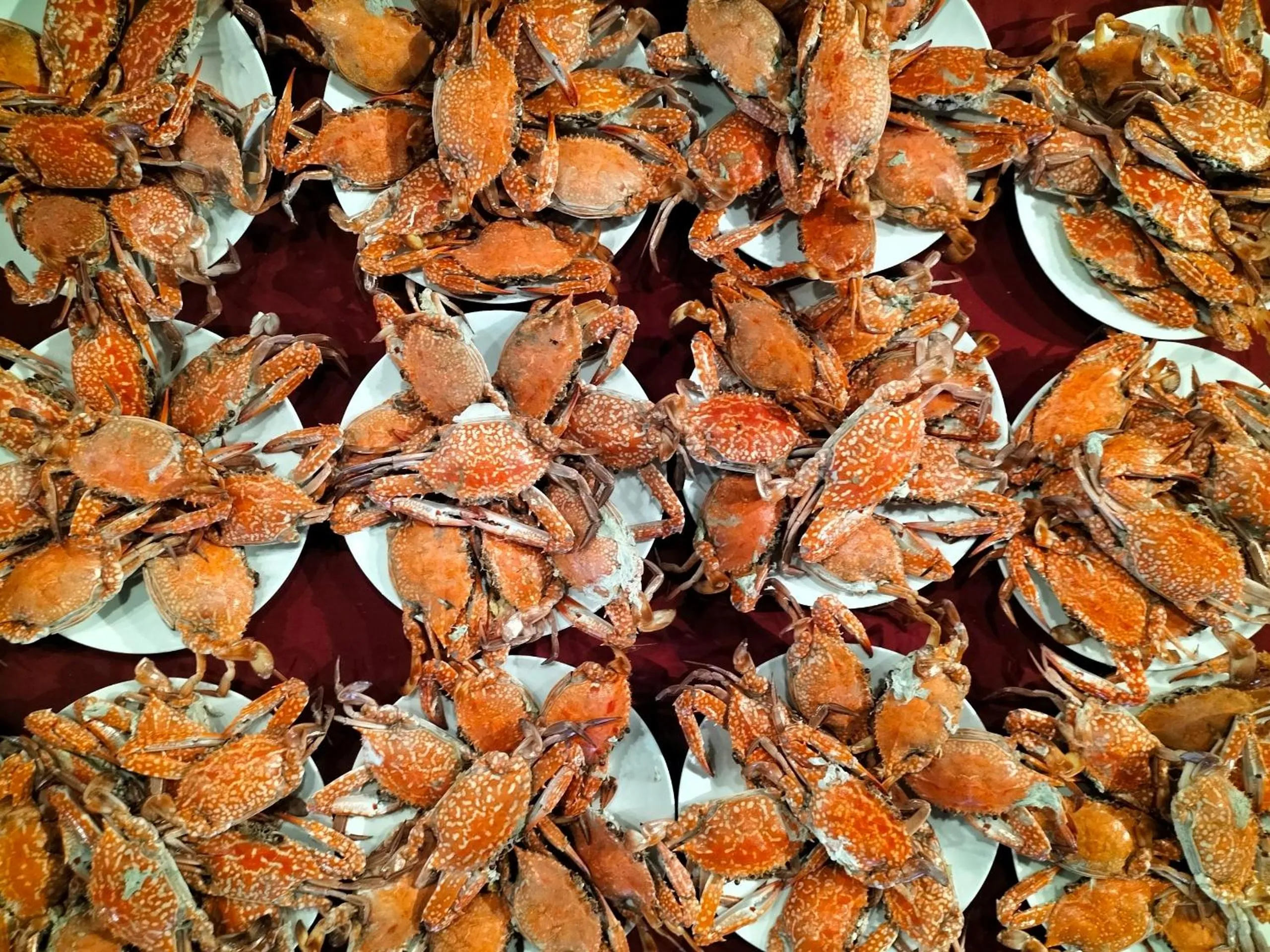 Restaurant/places to eat in Suoi Hong Resort