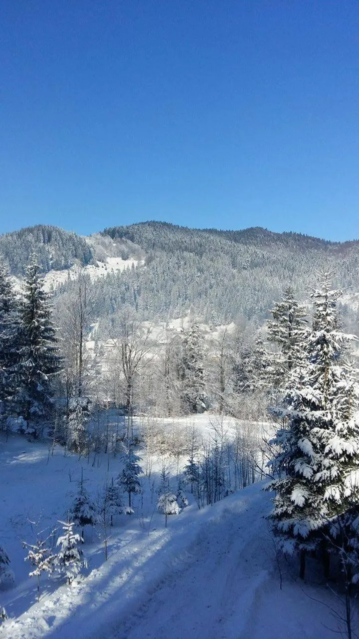 Day in Șoaptele pădurii & Căsuța din pădure