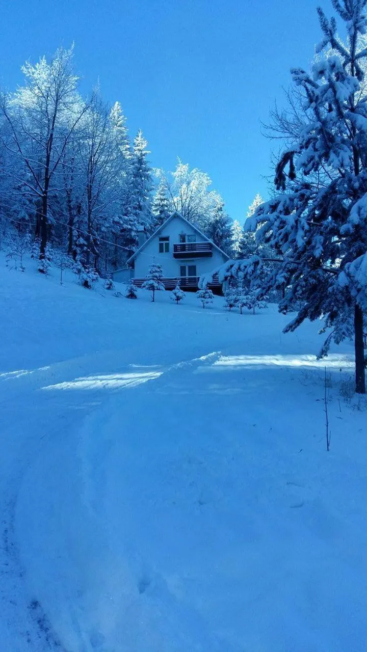 Day in Șoaptele pădurii & Căsuța din pădure