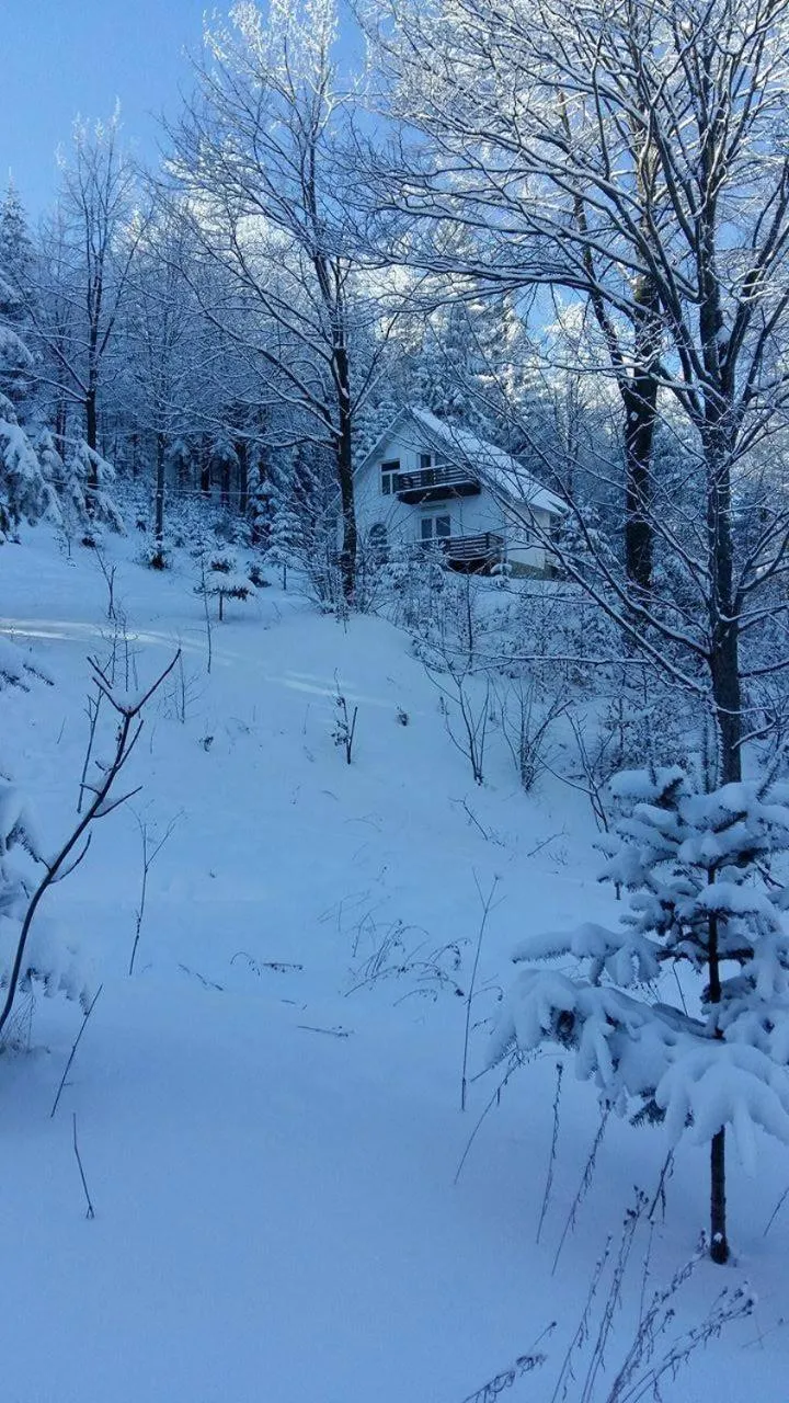 Property building in Șoaptele pădurii & Căsuța din pădure
