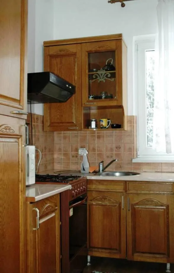 Communal kitchen in Șoaptele pădurii & Căsuța din pădure