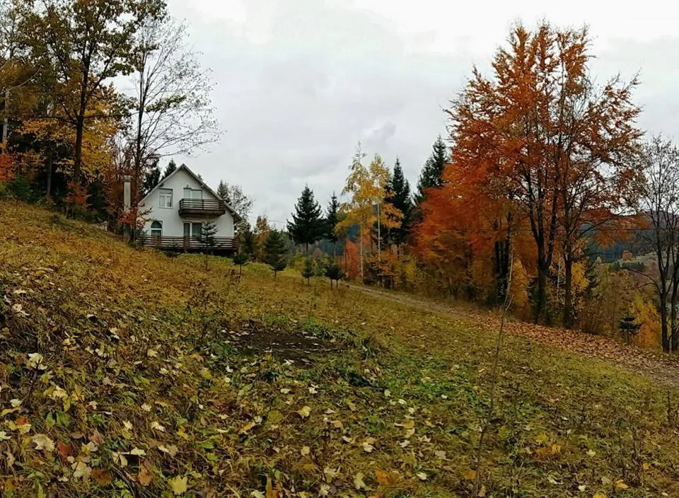 Autumn in Șoaptele pădurii & Căsuța din pădure