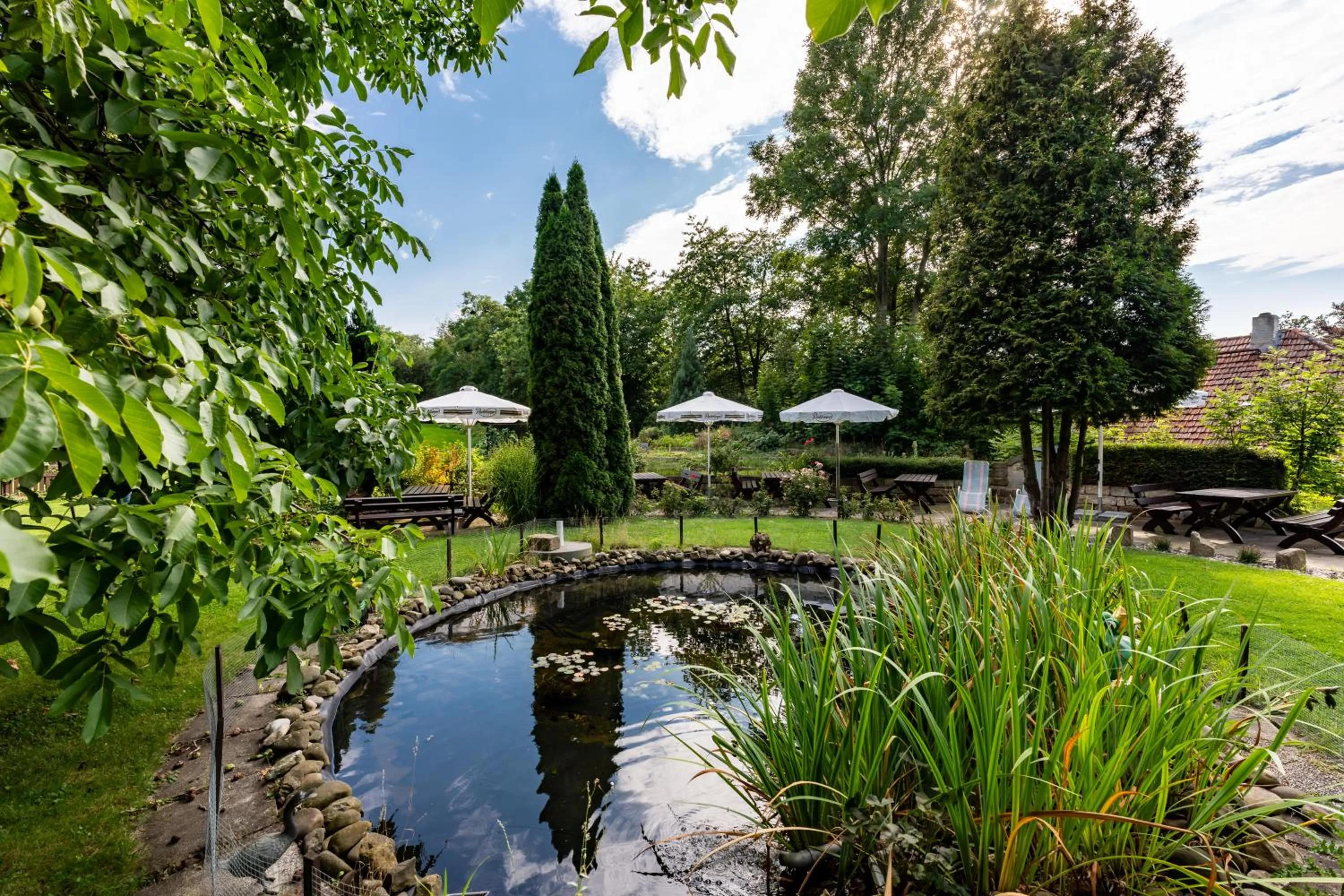 Garden in Hotel Zur Post