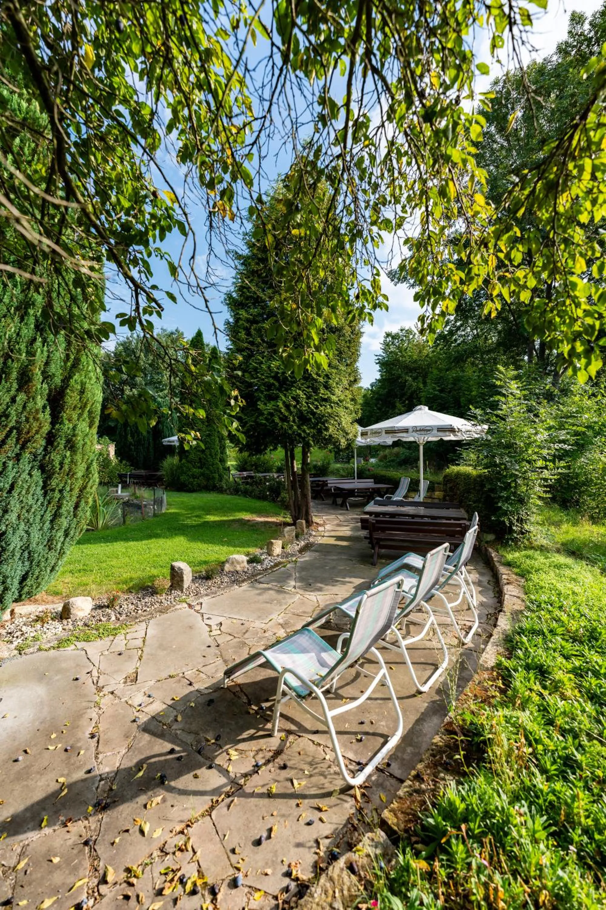 Garden in Hotel Zur Post