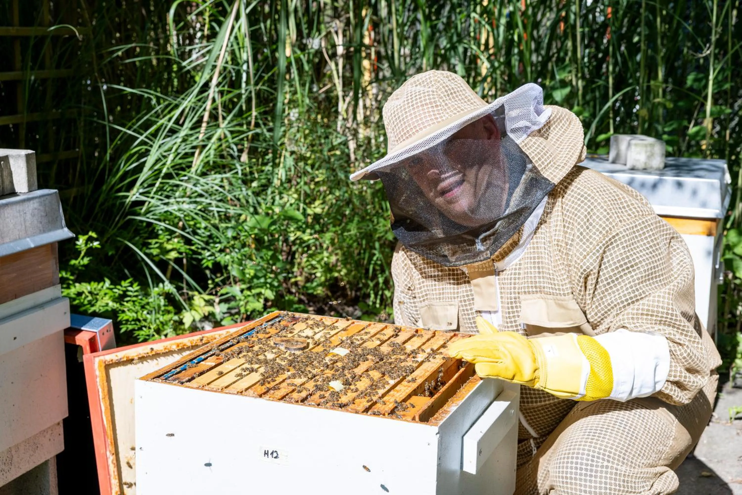 Garden in Hotel Zur Post