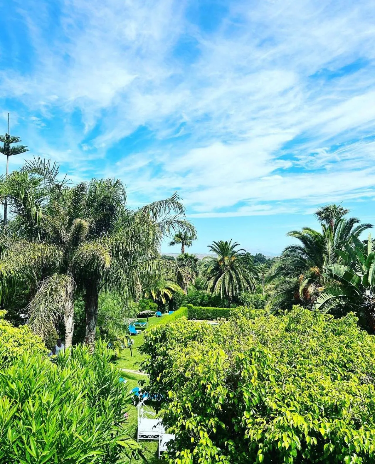 Garden in Hotel La Peña
