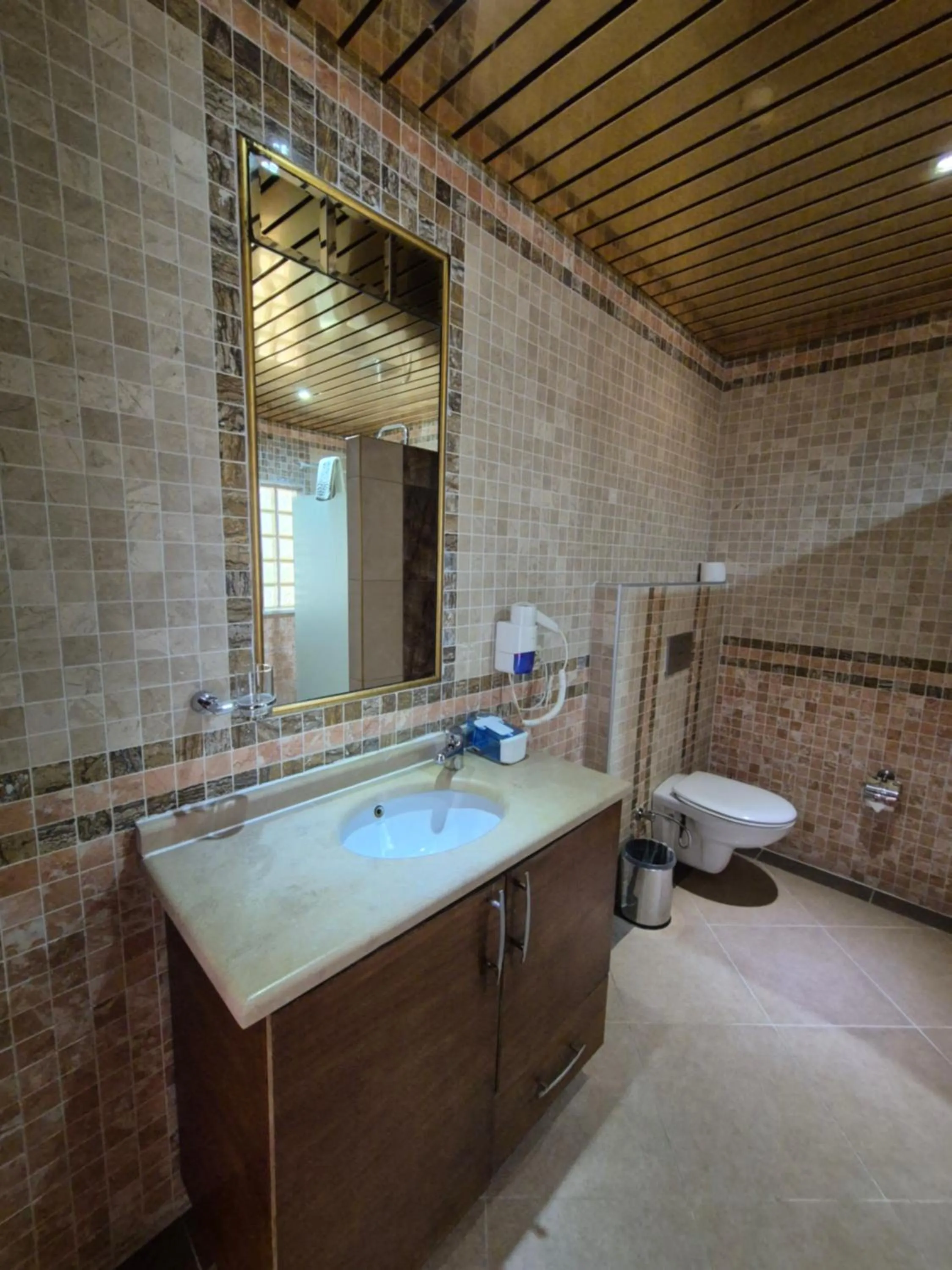 Toilet in Dinara Apart Hotel