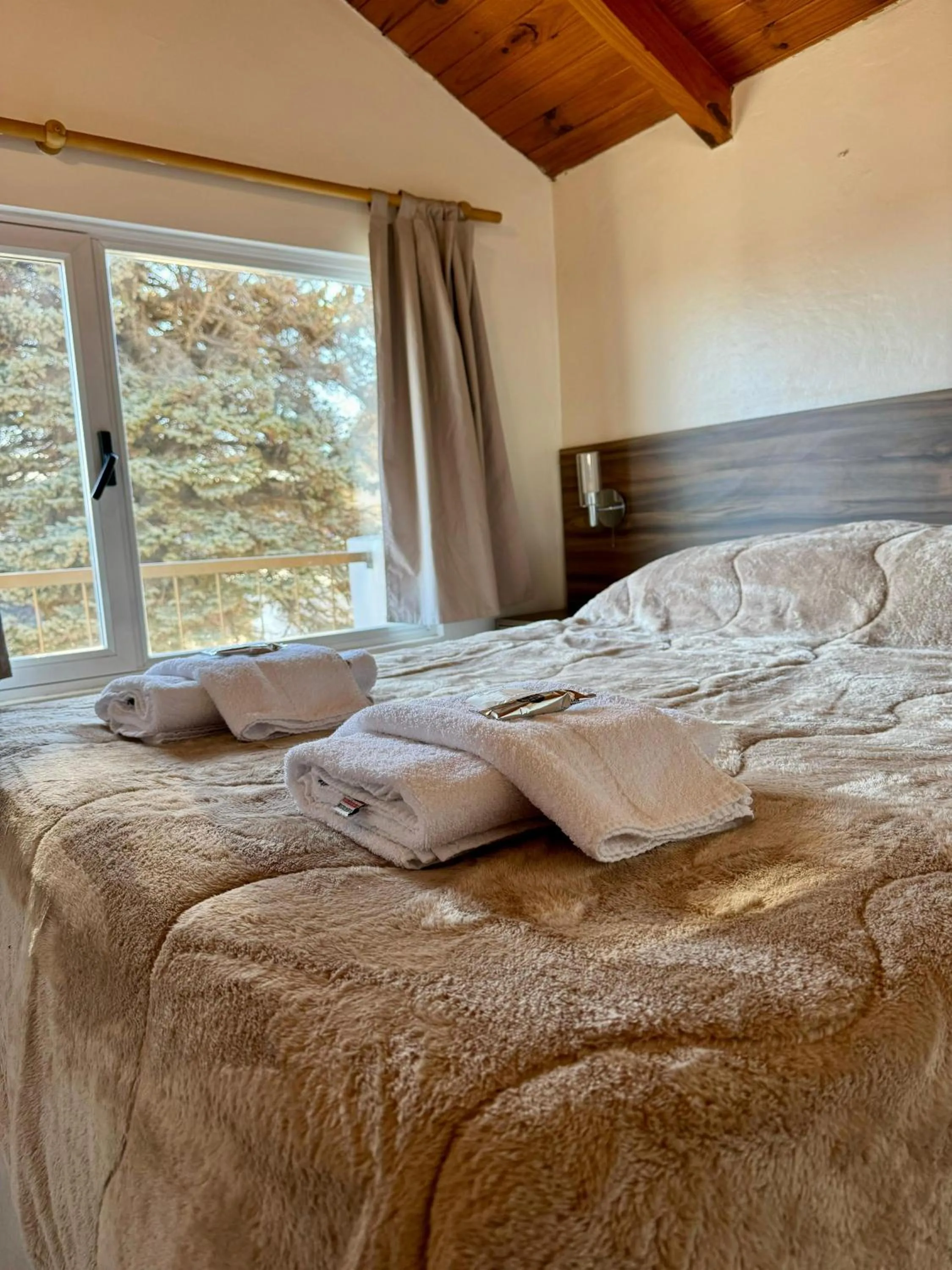 Bedroom, Bed in Antu Mahuida Apartments