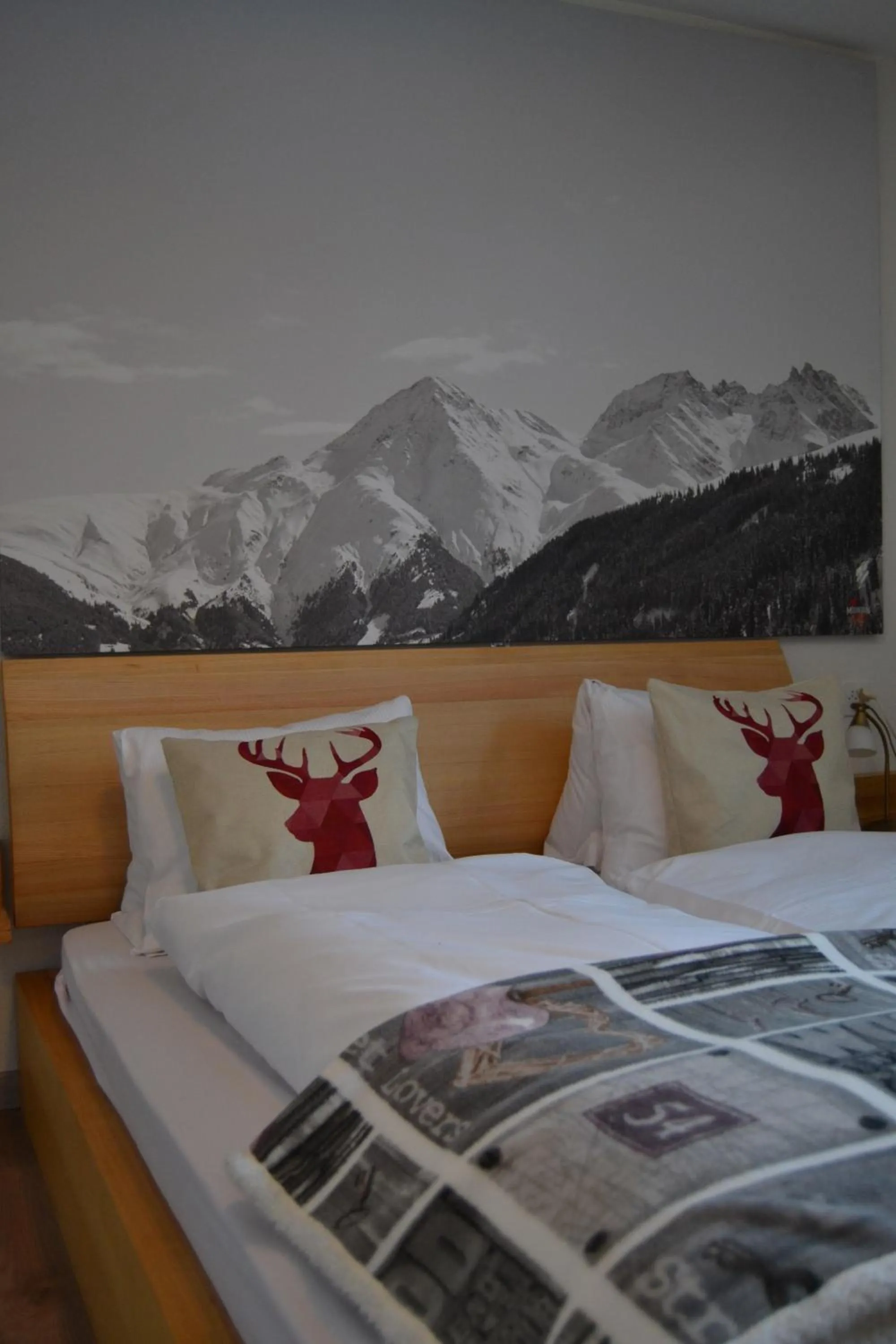 Bed in Mountain Lodge Sedrun