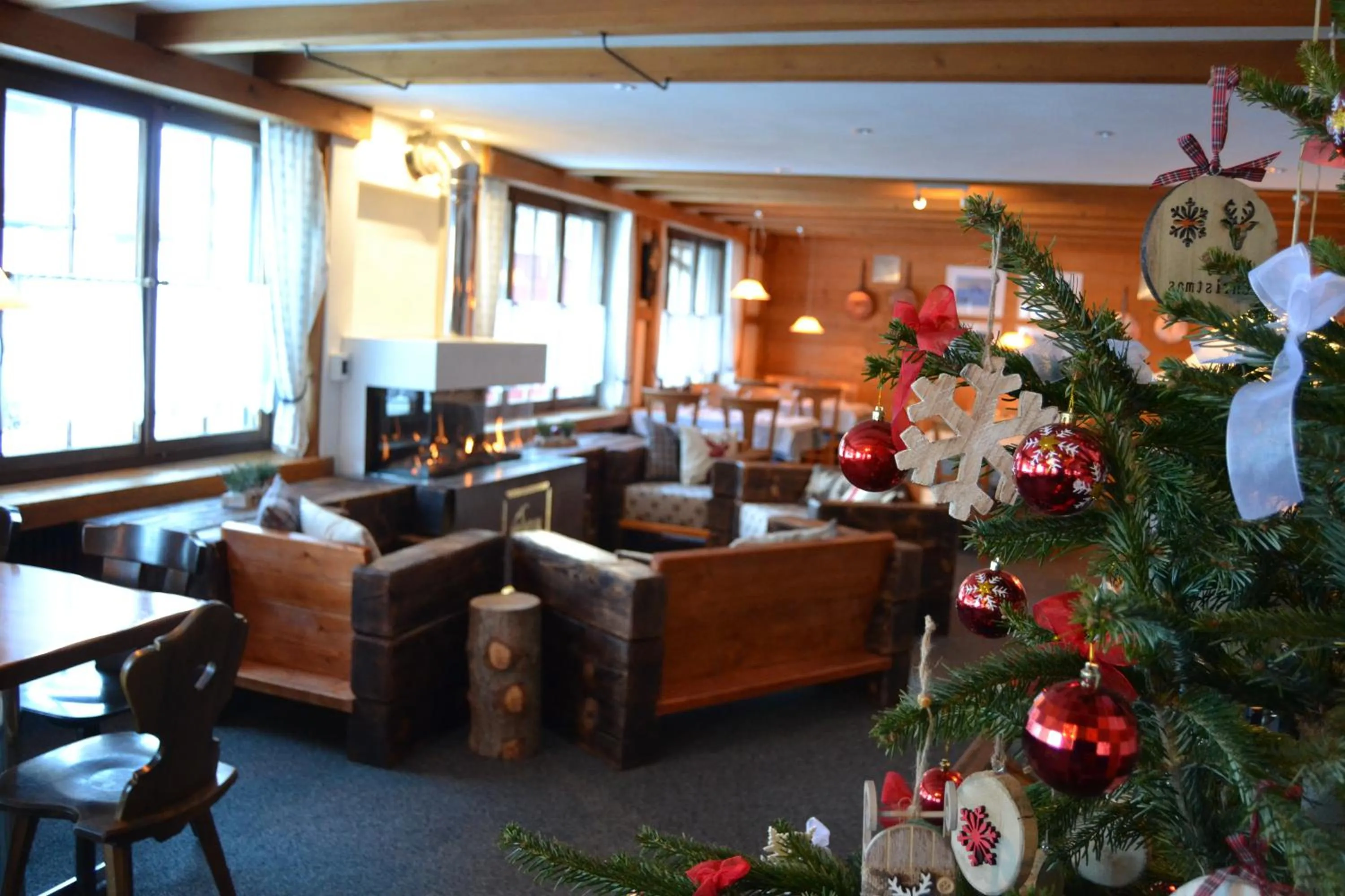 Area and facilities in Mountain Lodge Sedrun