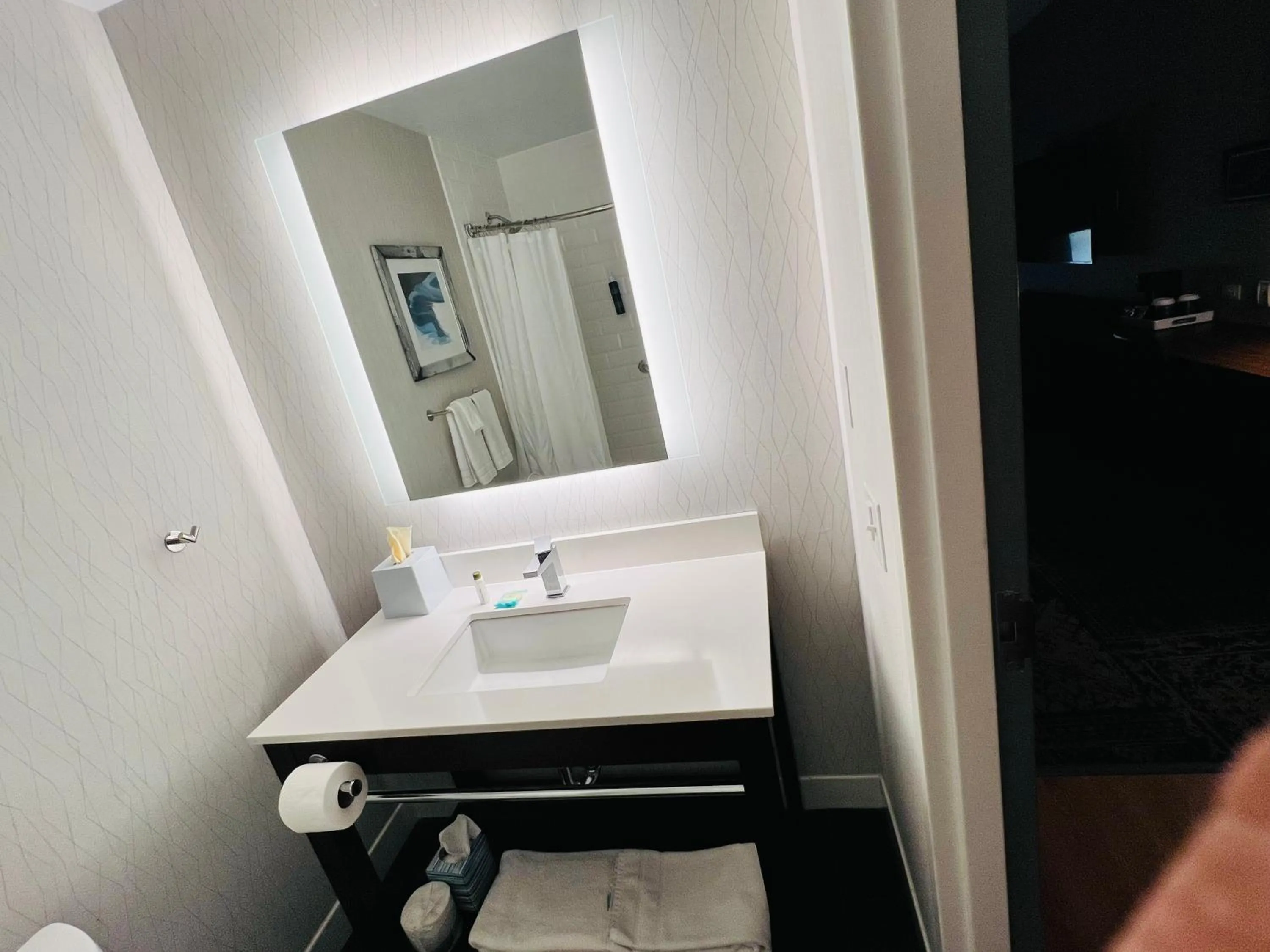 Bathroom in Radisson Hotel Fairview Heights - St Louis