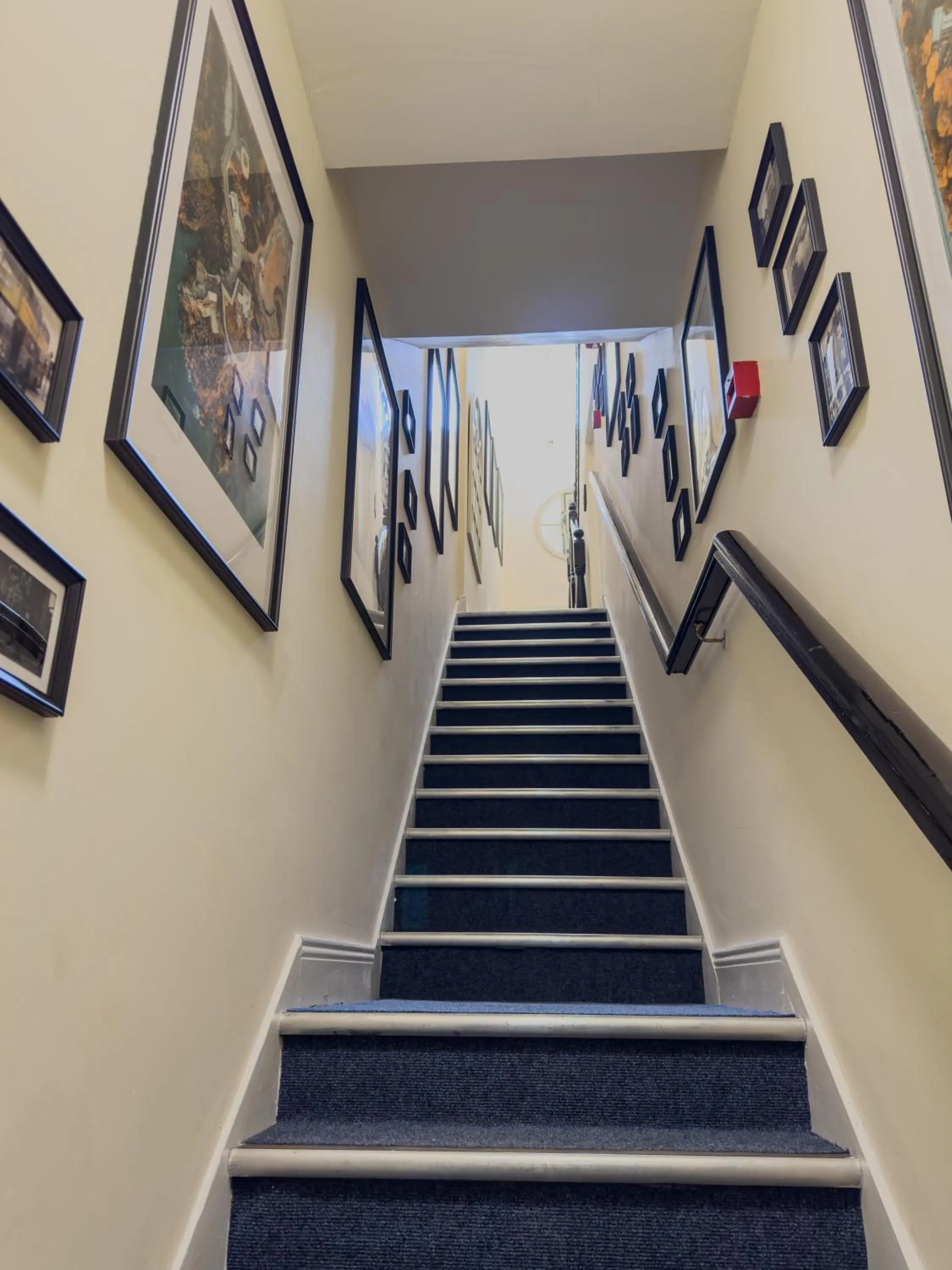 Property building in Molloys Apartments