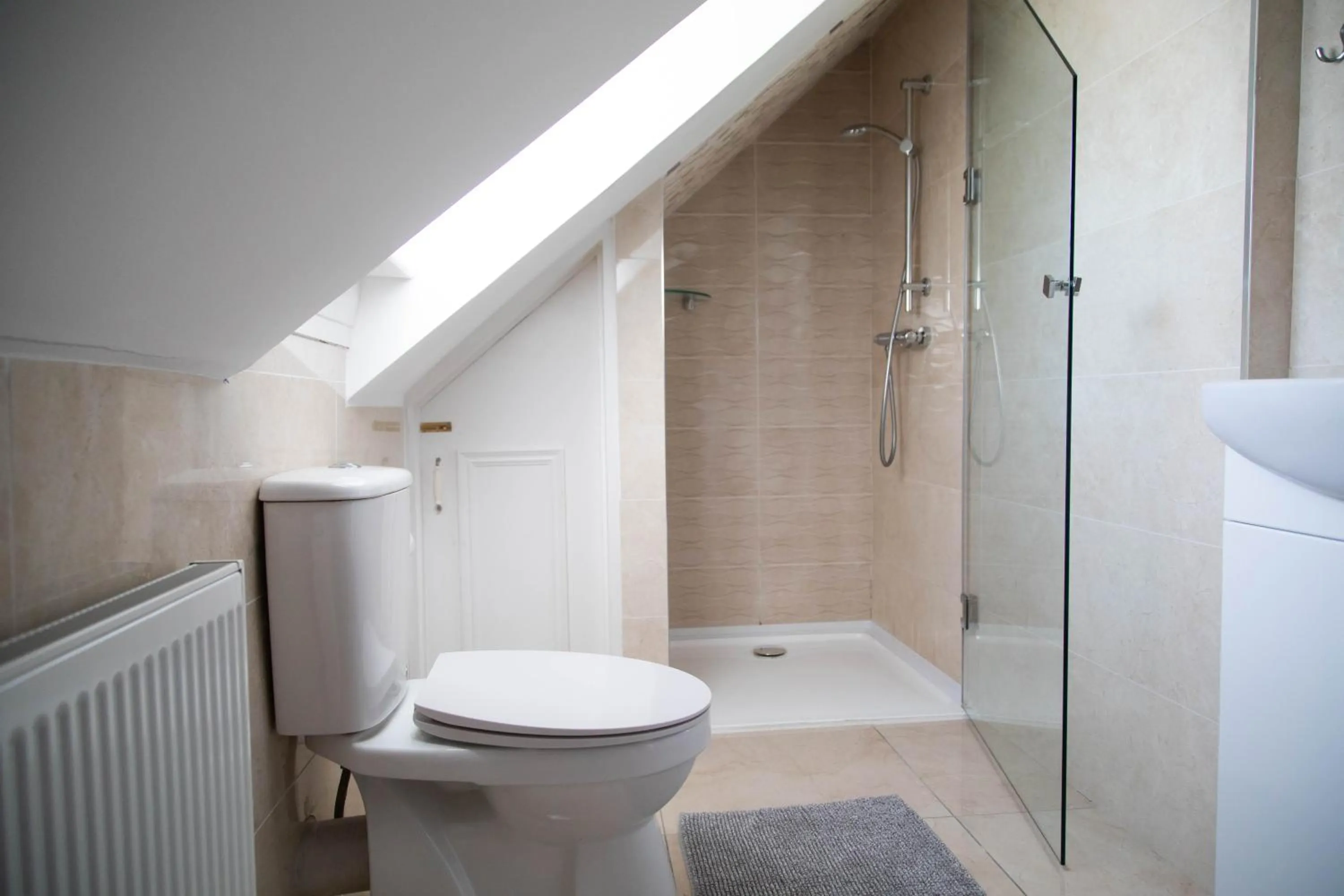 Shower in Molloys Apartments