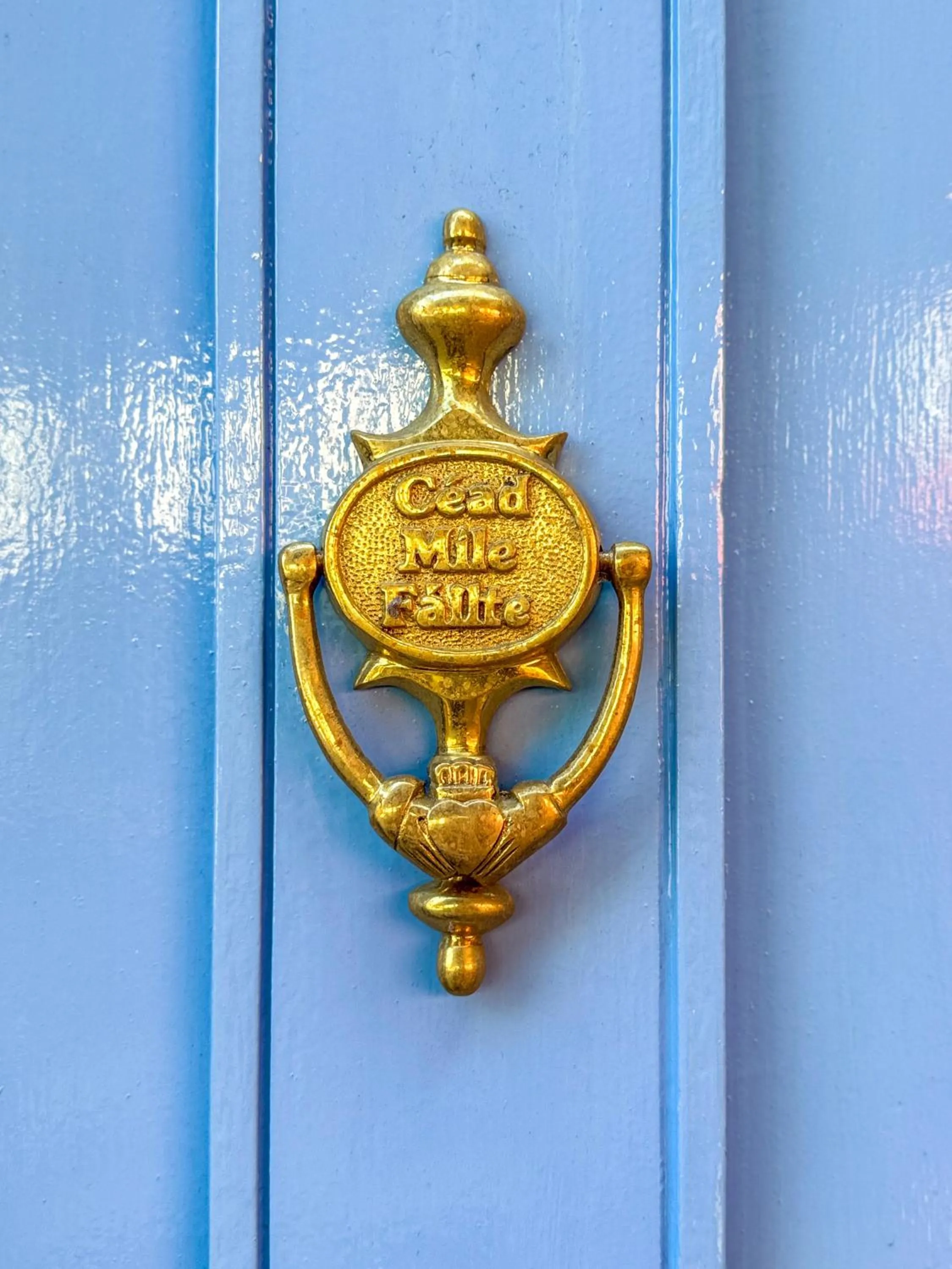 Property building in Molloys Apartments