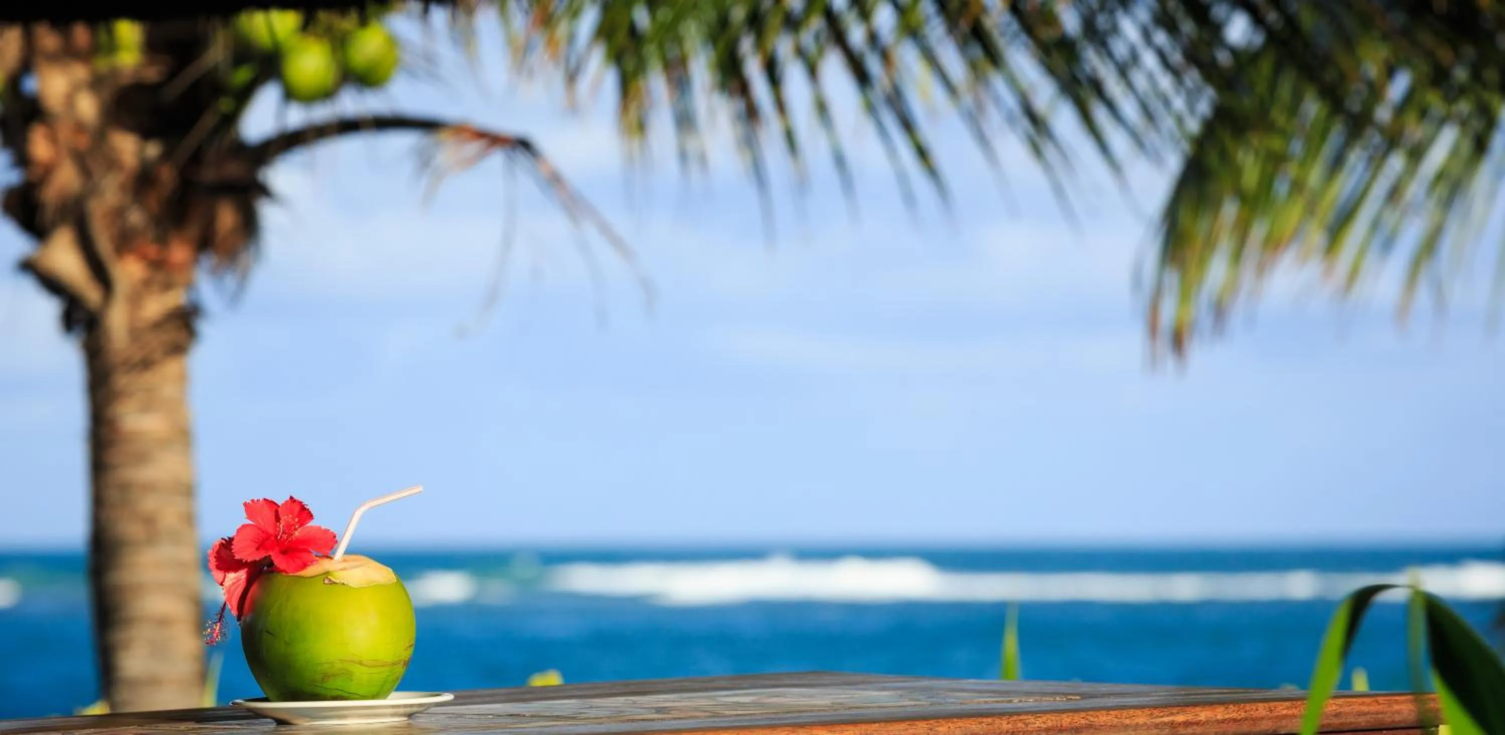 Sea view in Pousada Canto do Porto