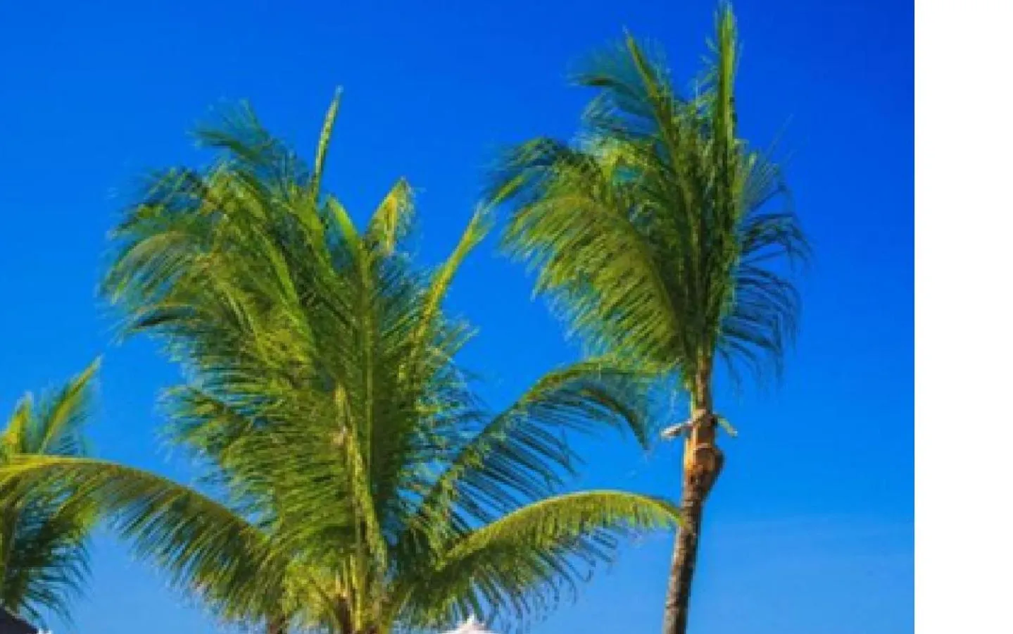 View (from property/room) in Pousada Canto do Porto