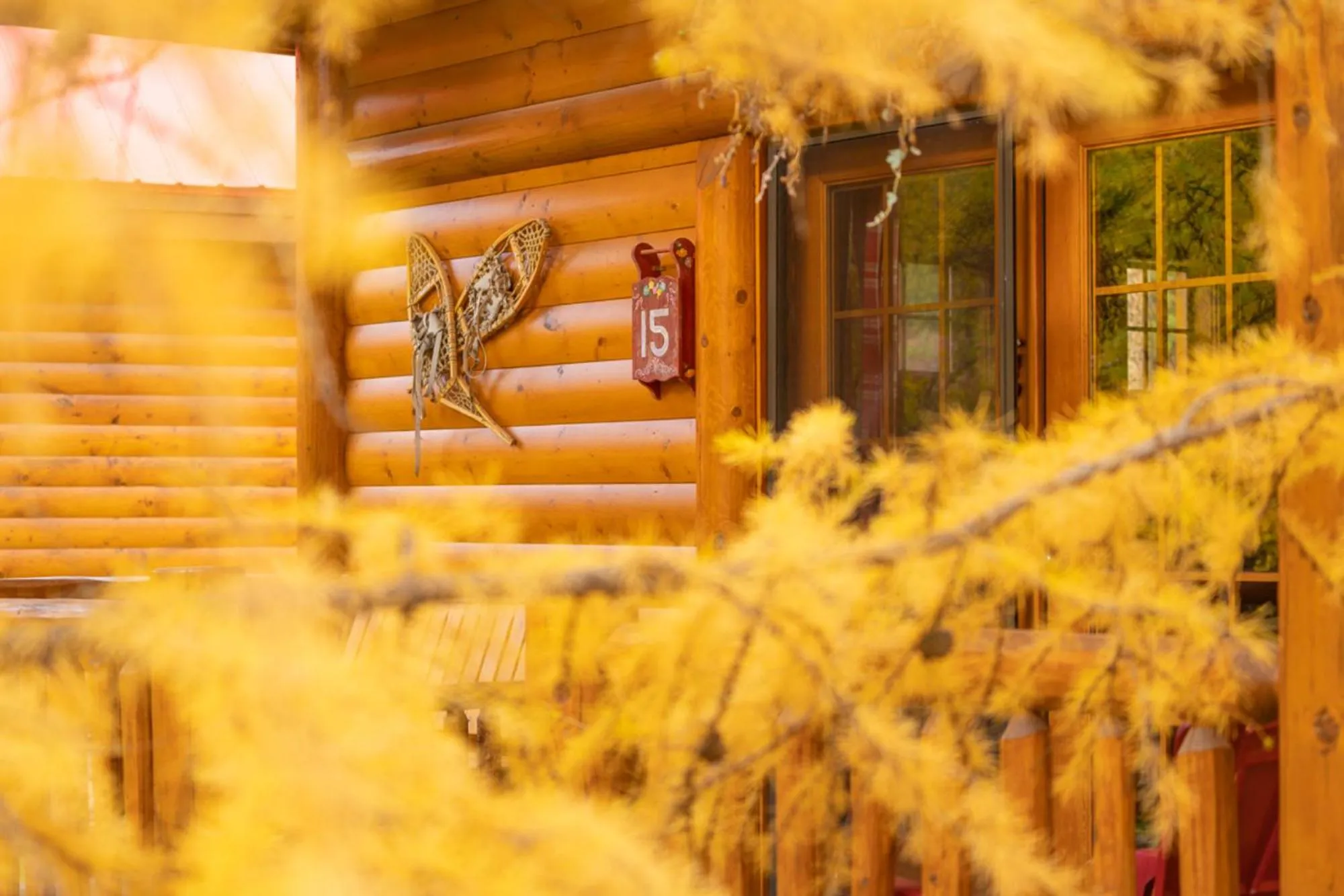 Property building in Baker Creek By Basecamp