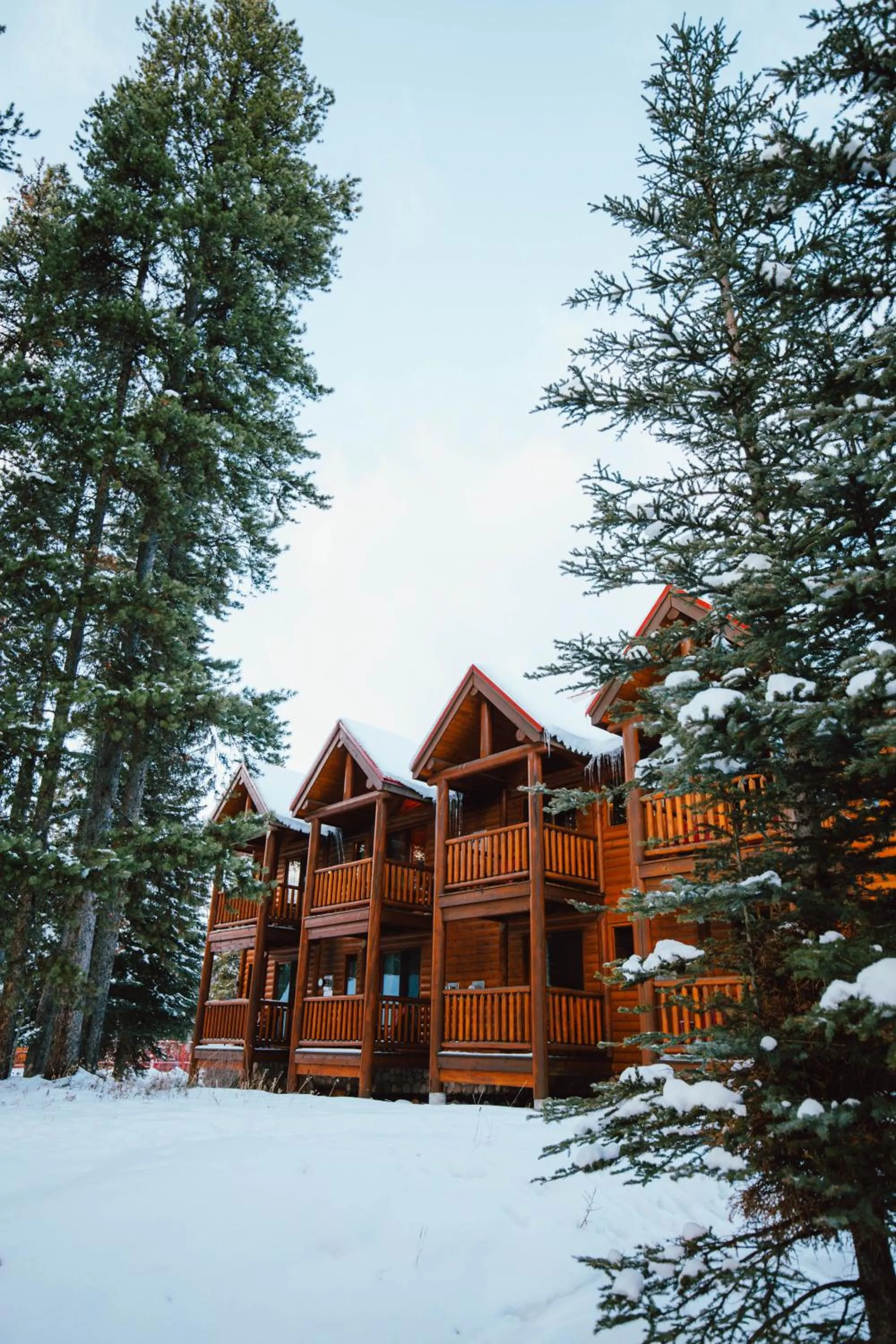 Property building in Baker Creek By Basecamp