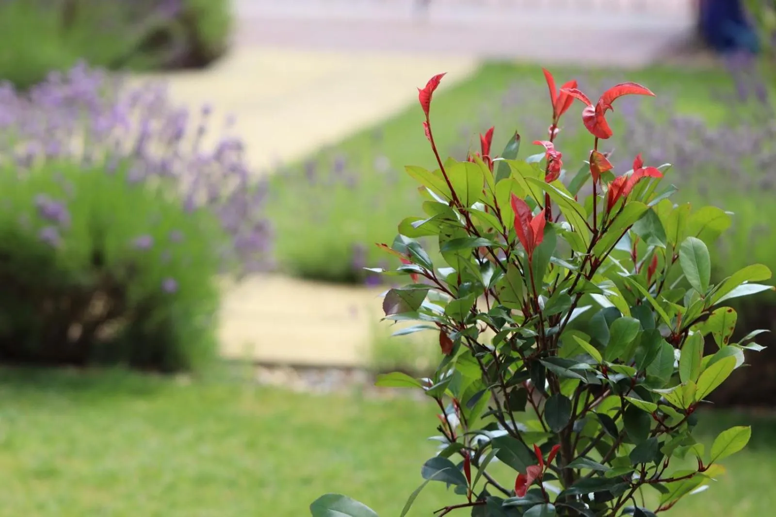 Garden in Grove Barn Bed and Breakfast