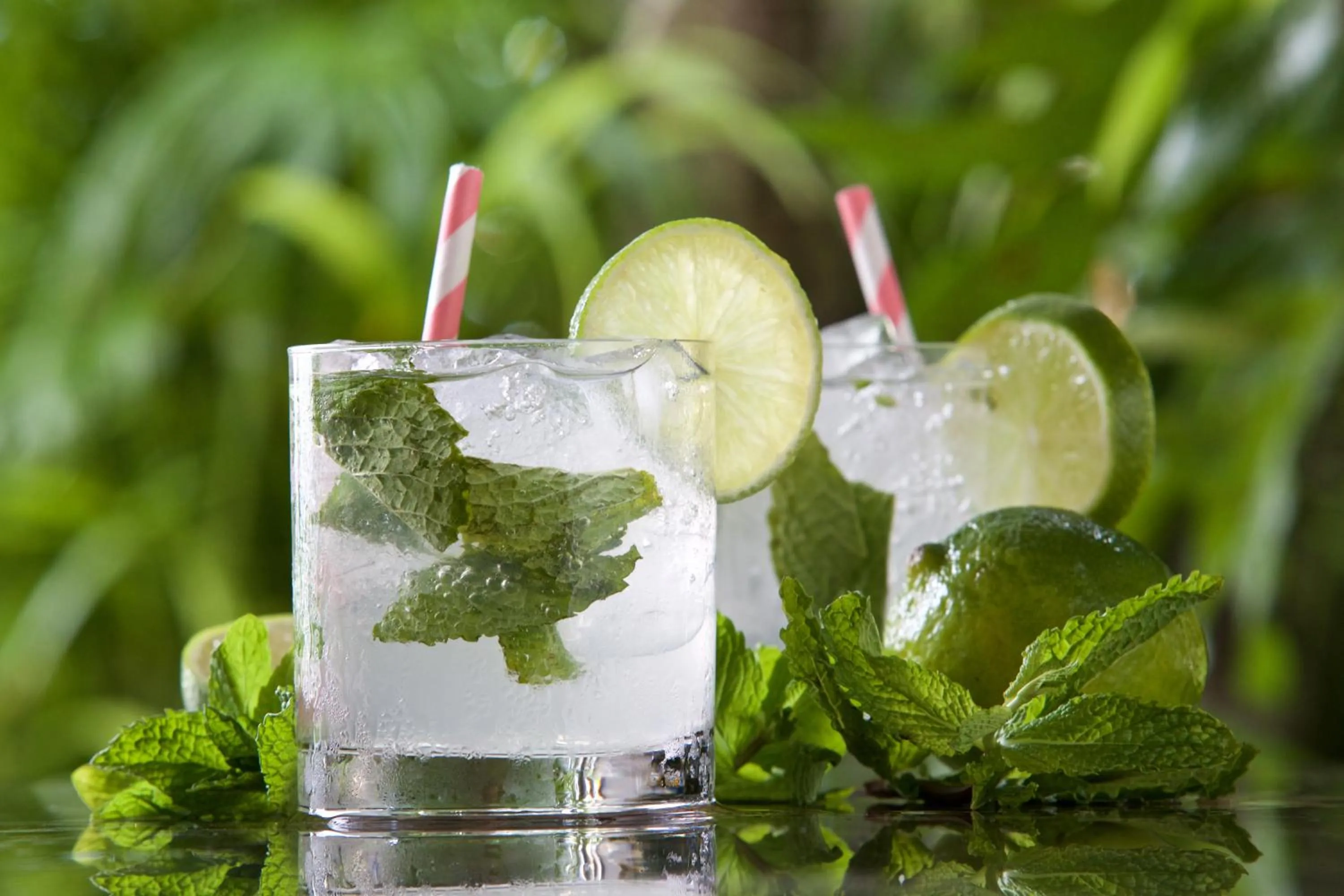 Alcoholic drinks in Cobblers Cove - Barbados