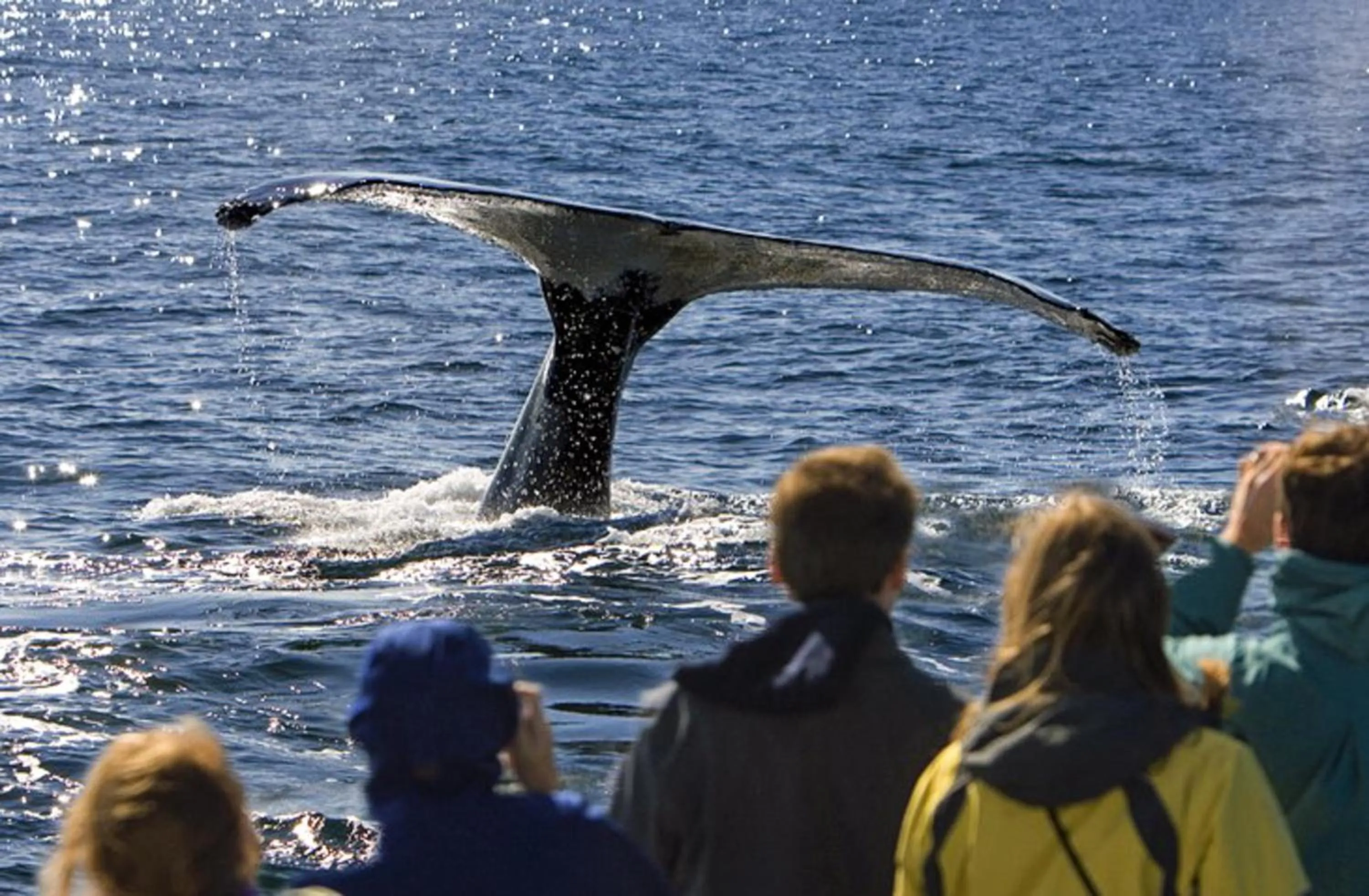 Activities in Riverview Resort