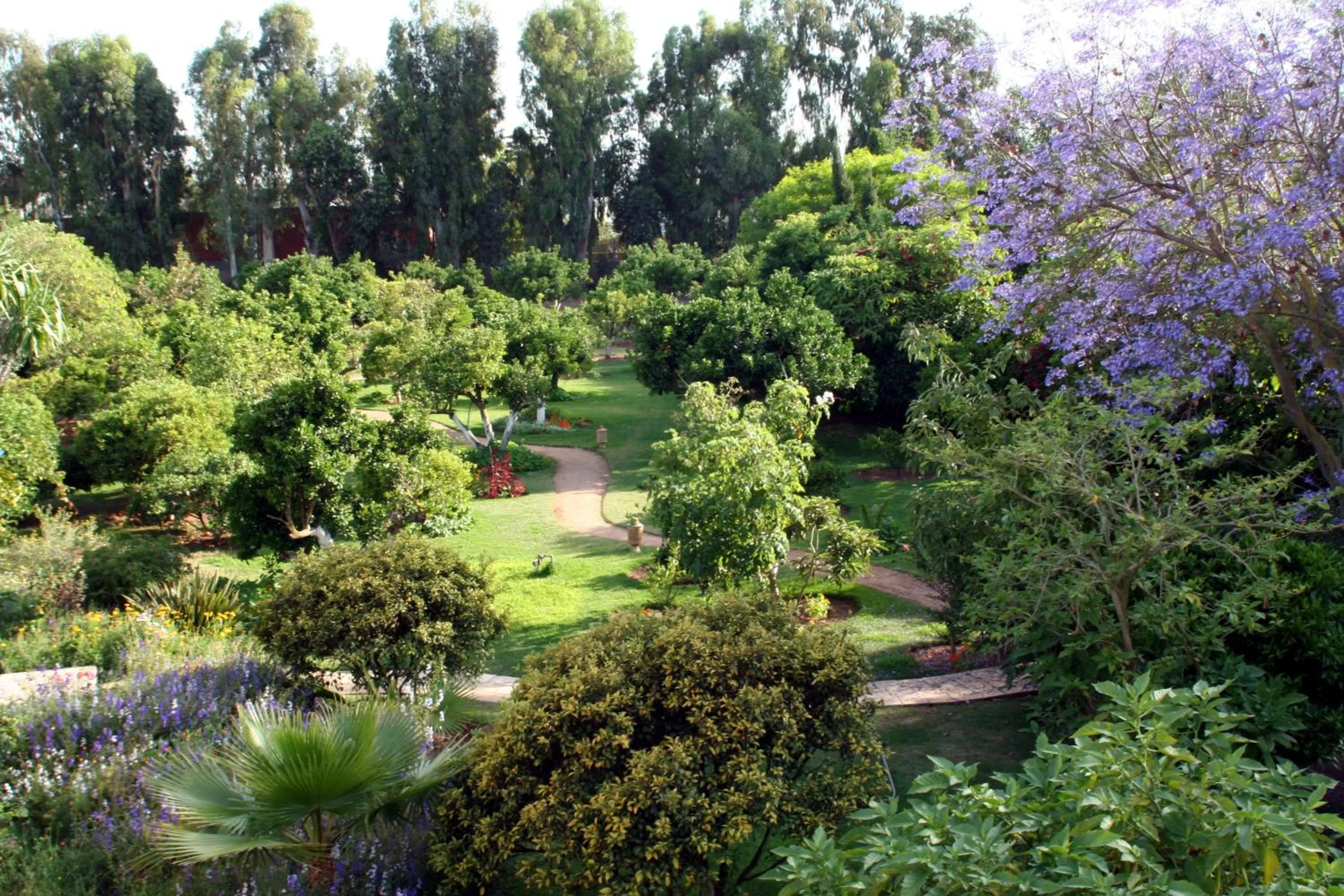 Day in La Villa Mandarine